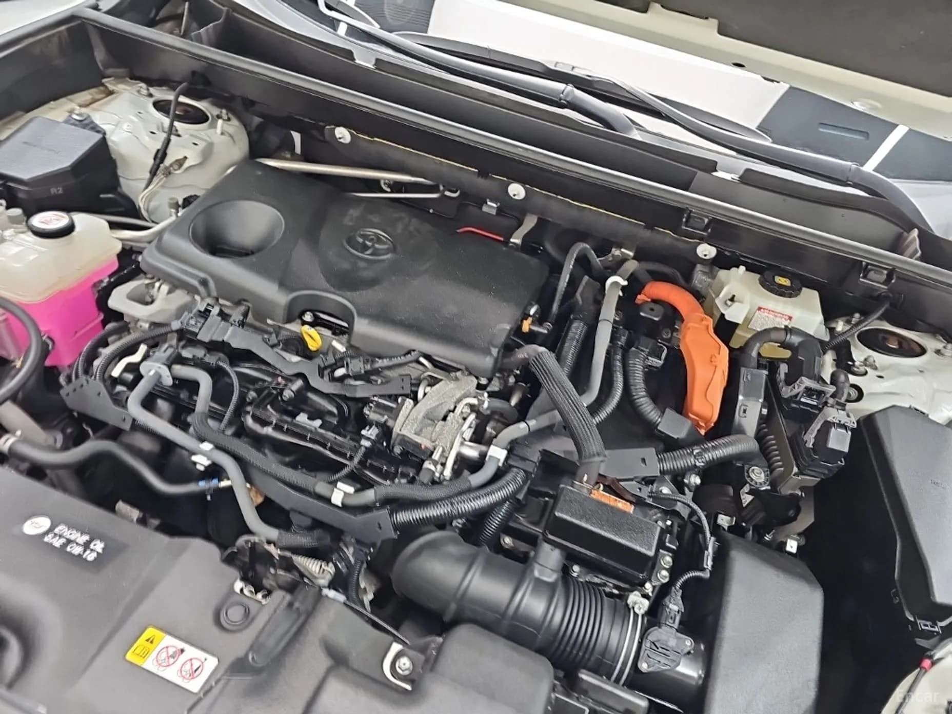 RAV4 5th Generation