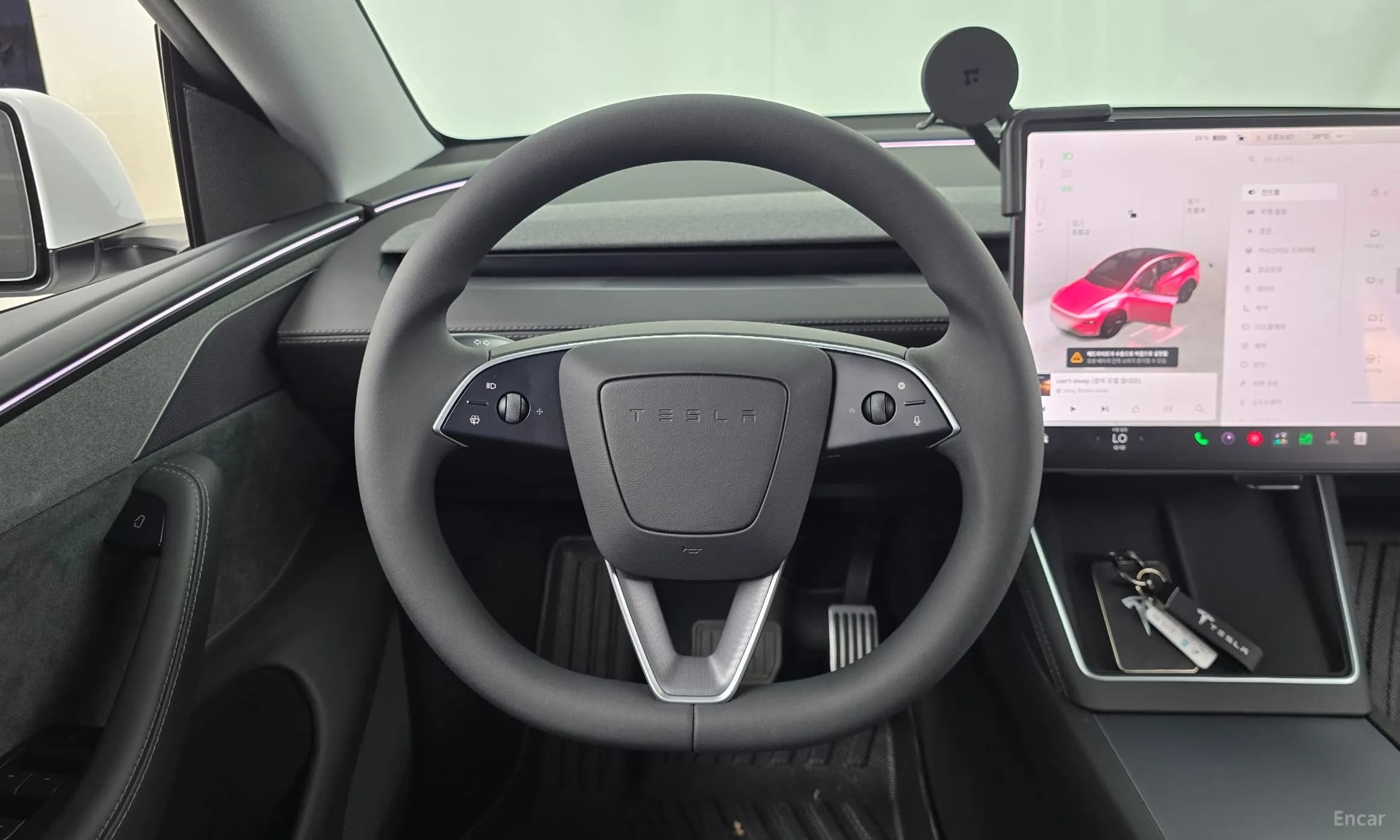 Model Y