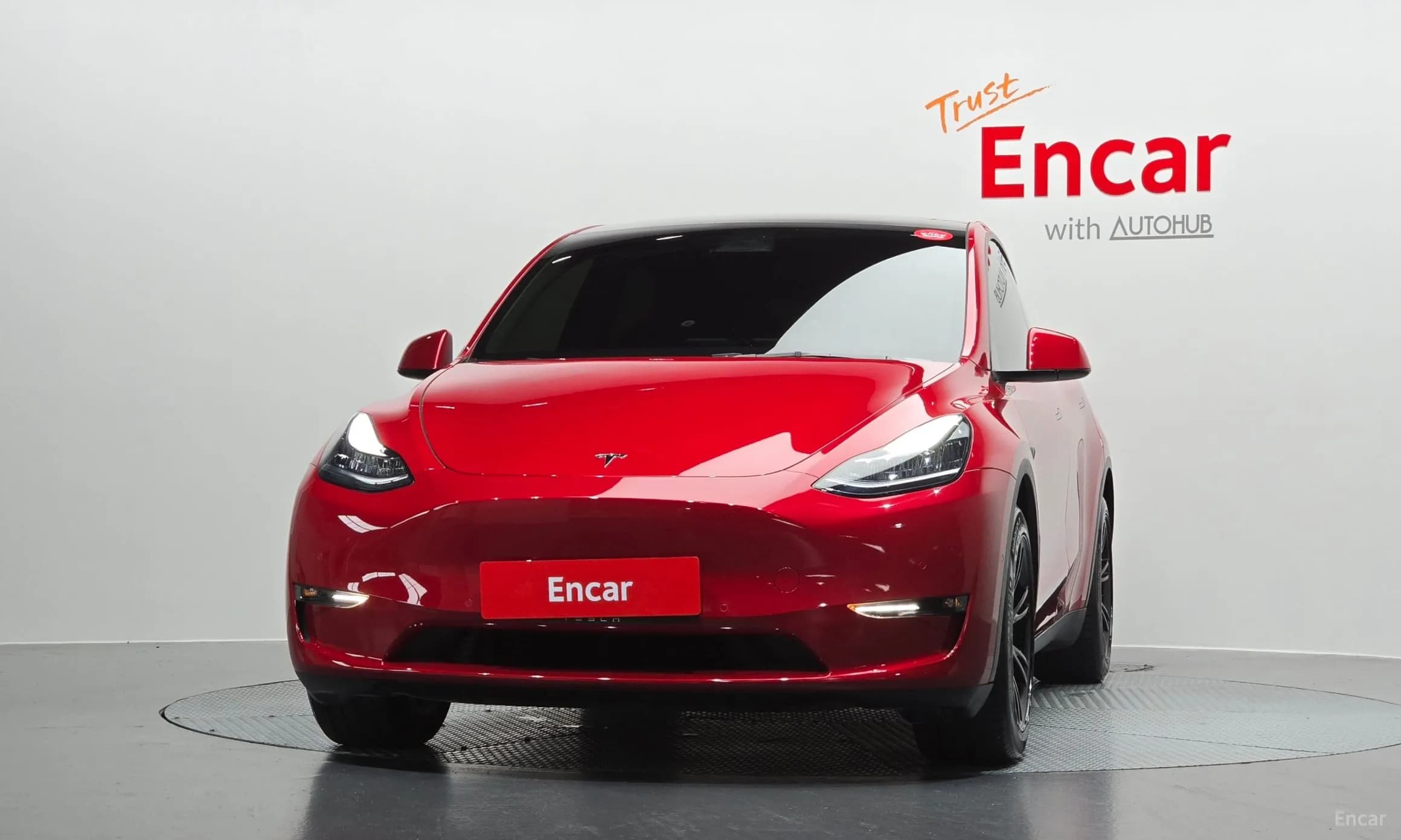 Model Y