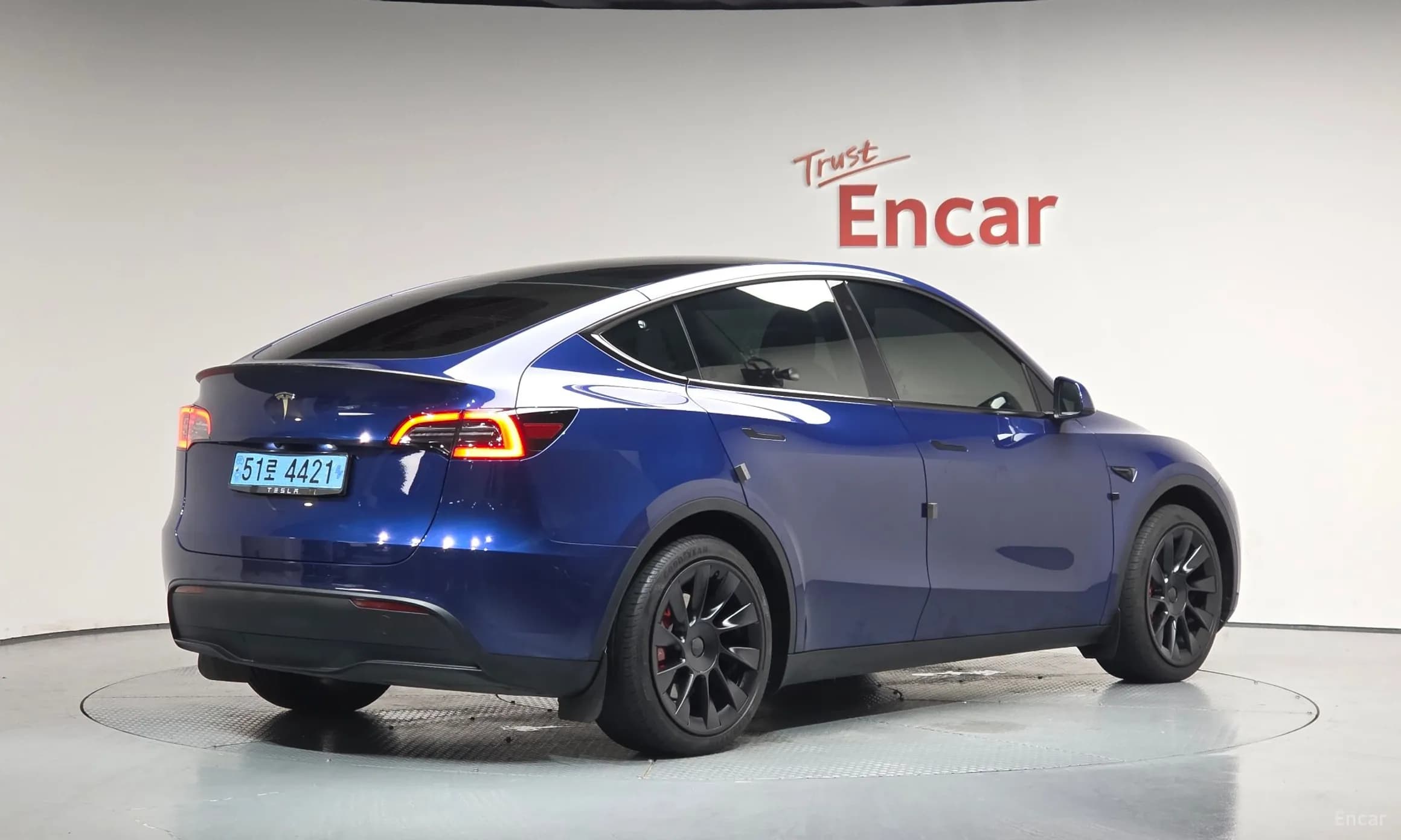 Model Y