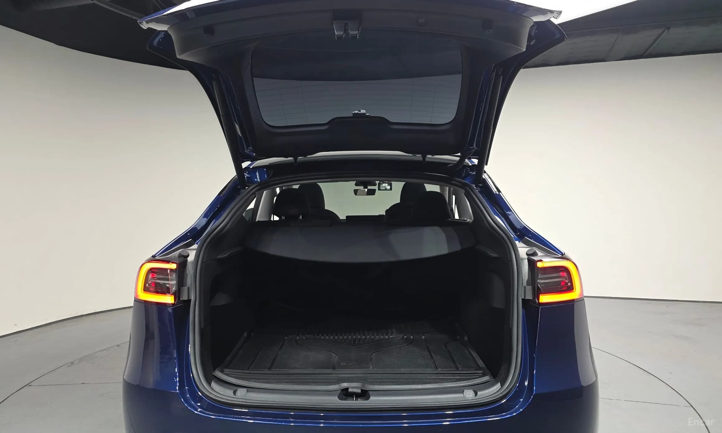 Model Y