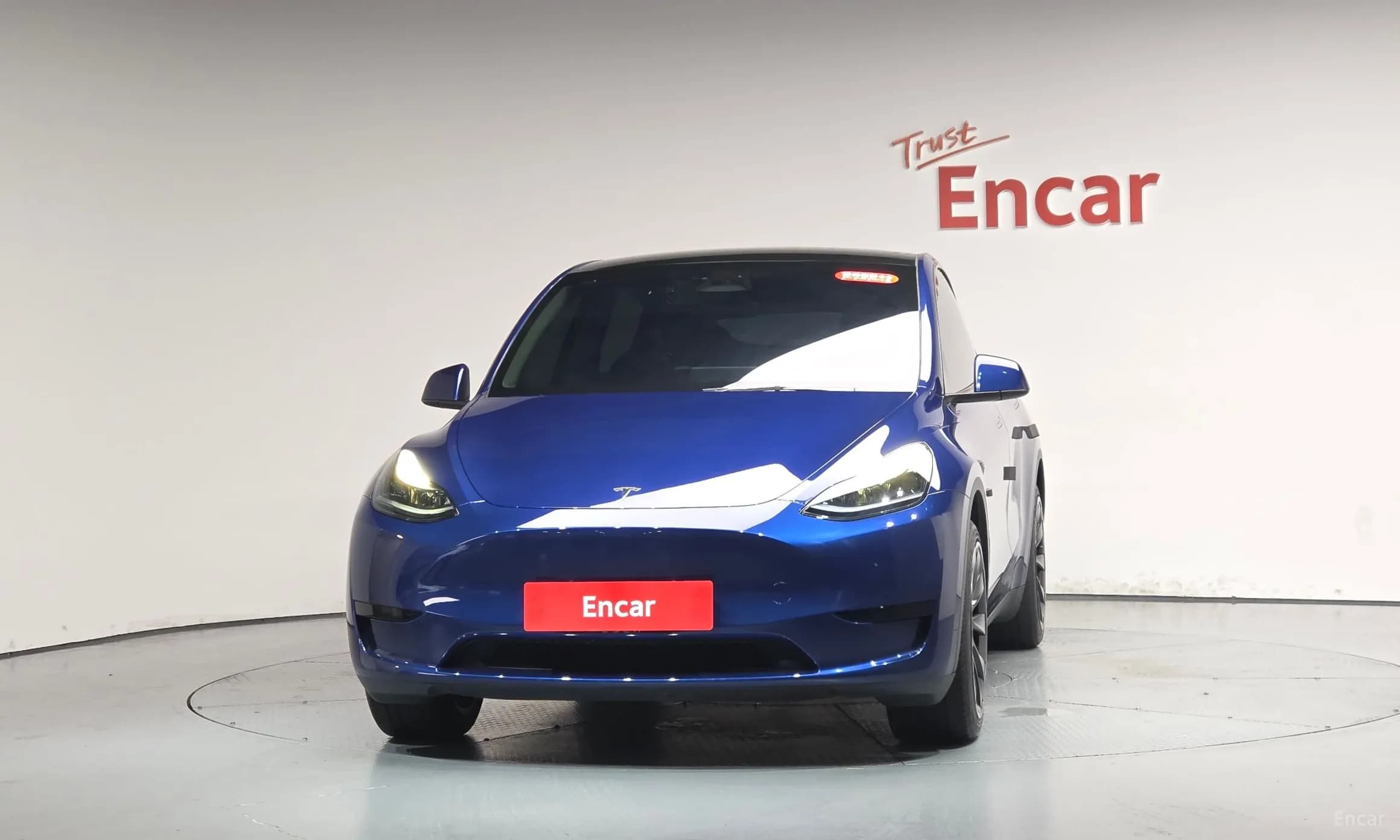 Model Y