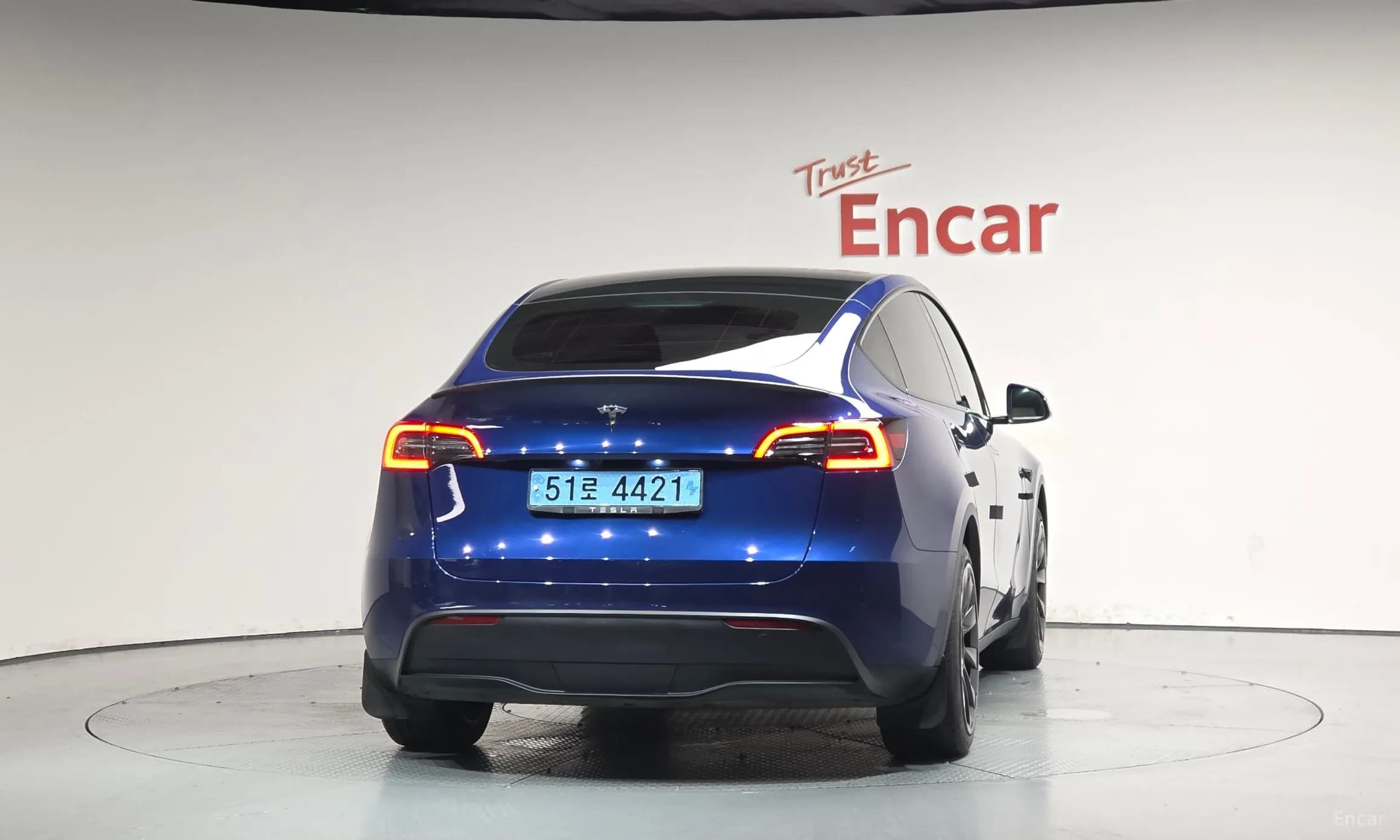 Model Y