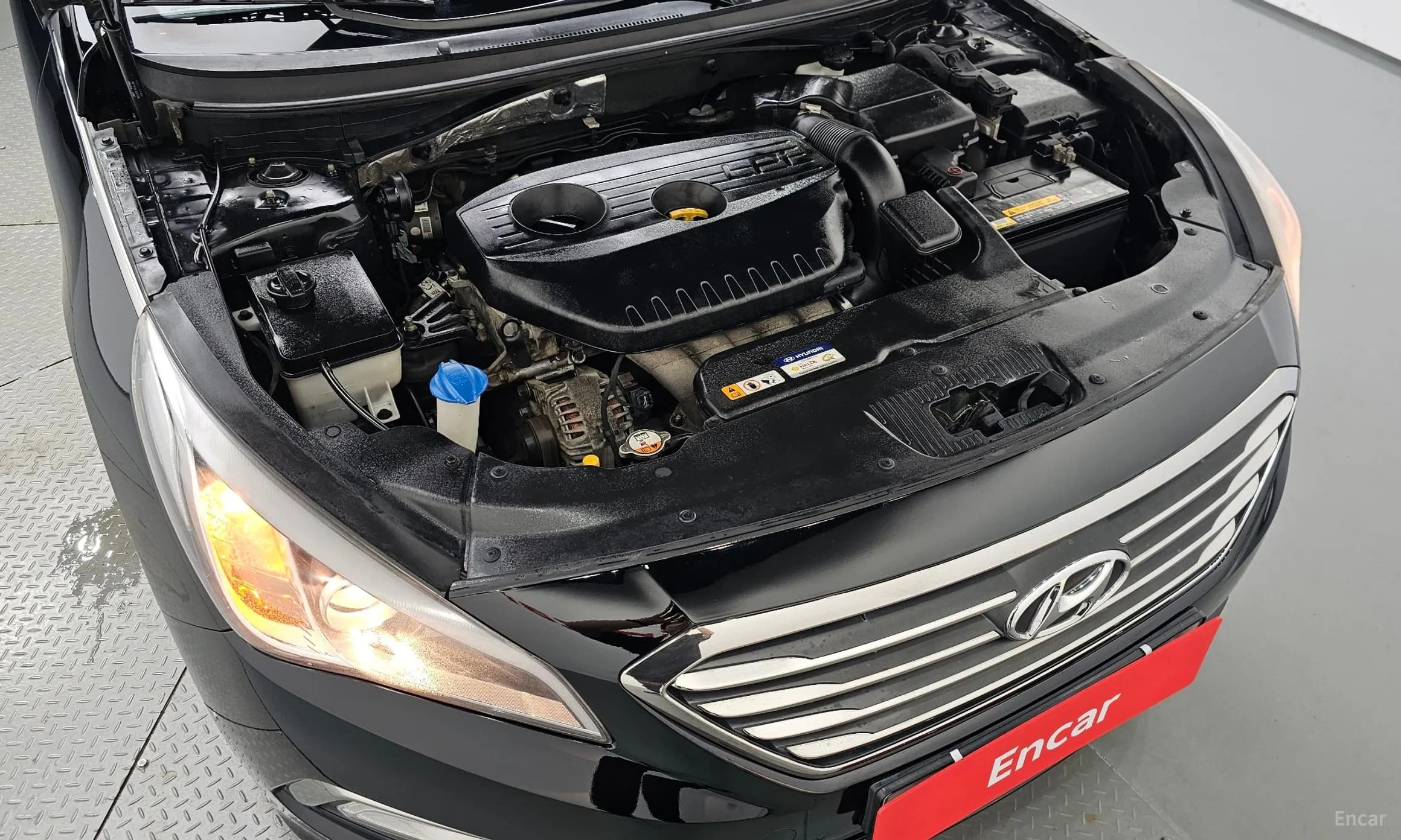 LF Sonata