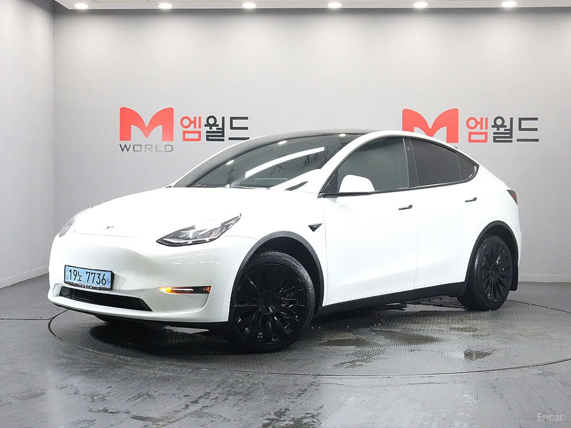 Model Y