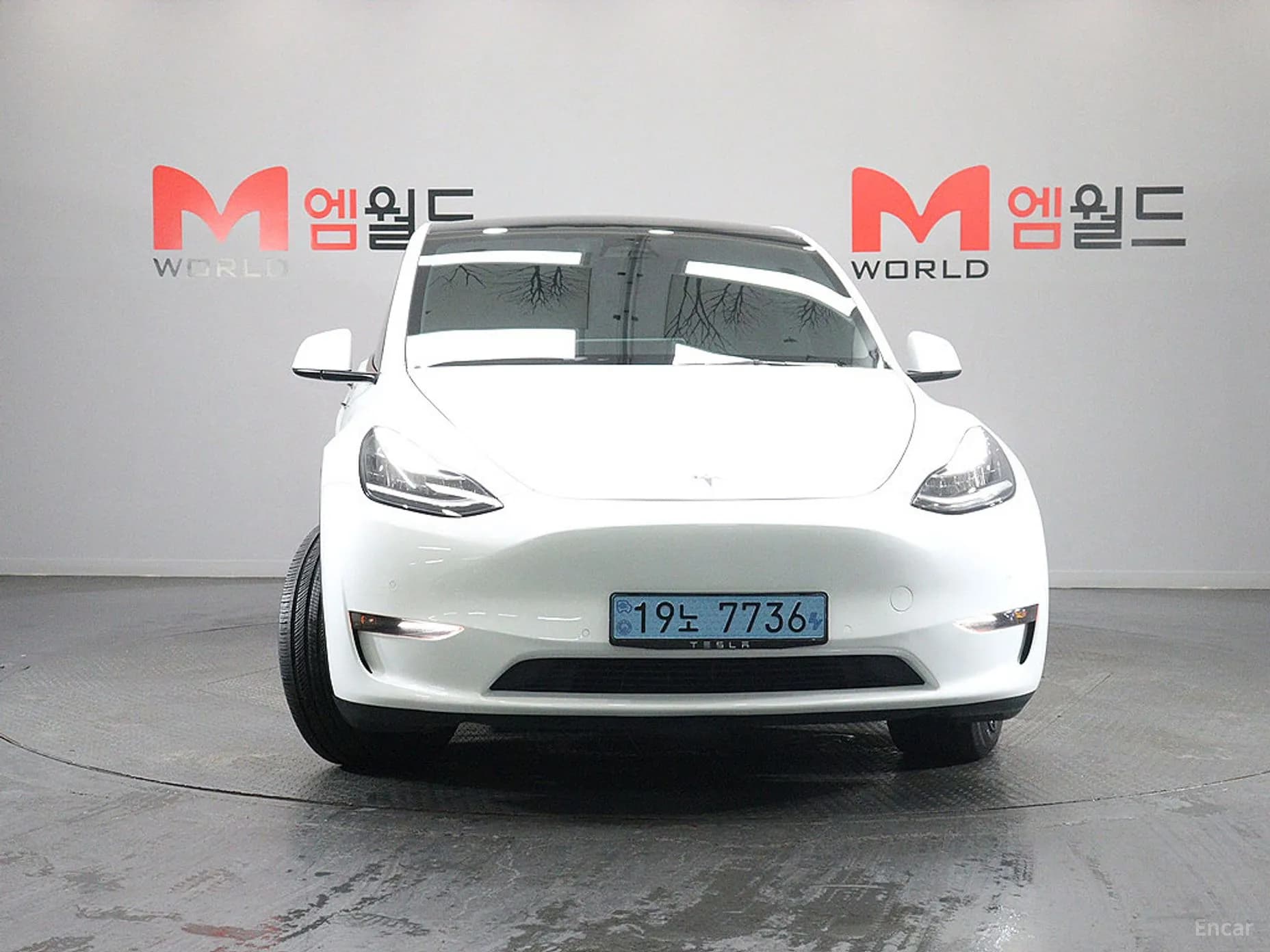 Model Y