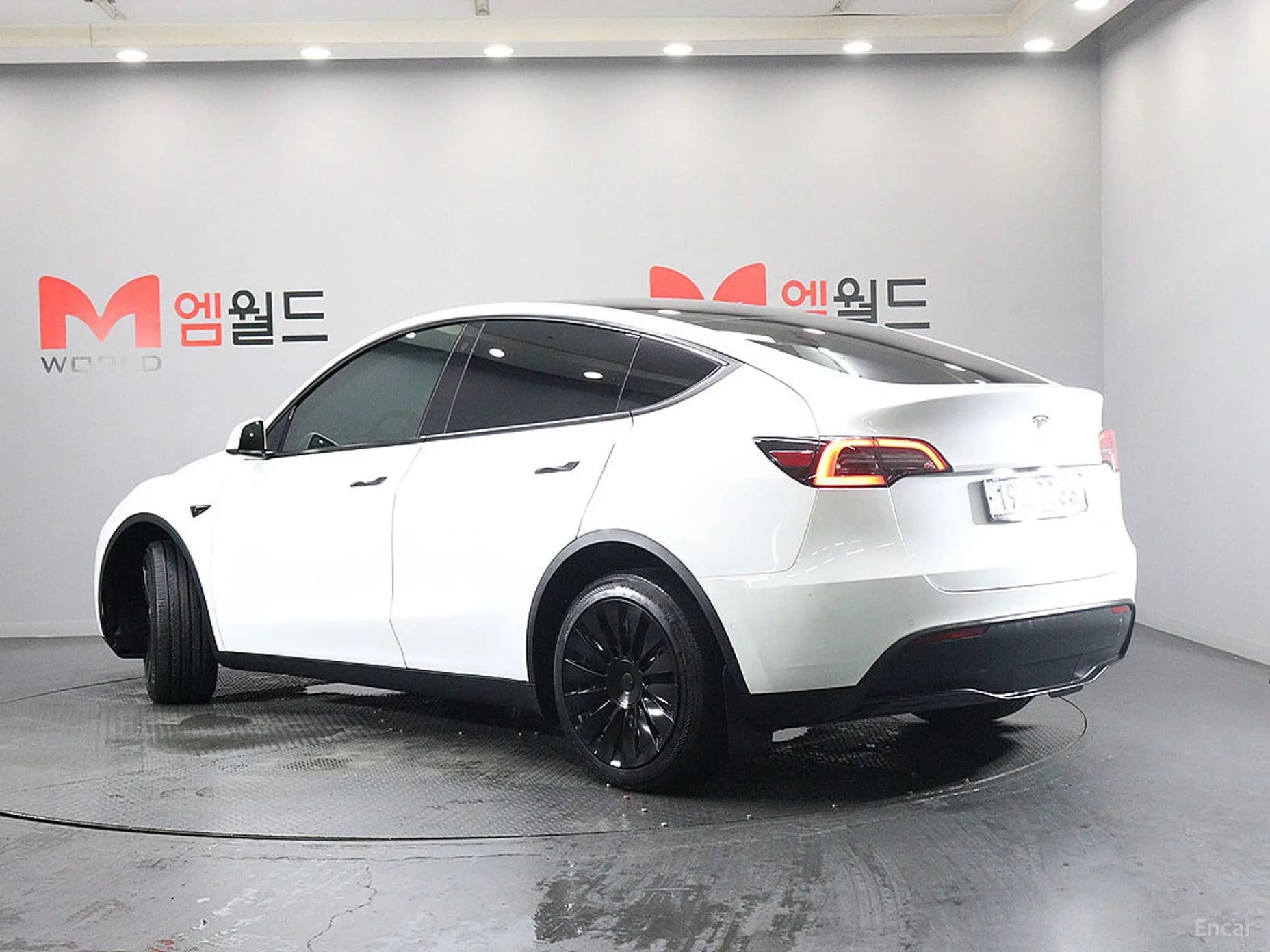 Model Y