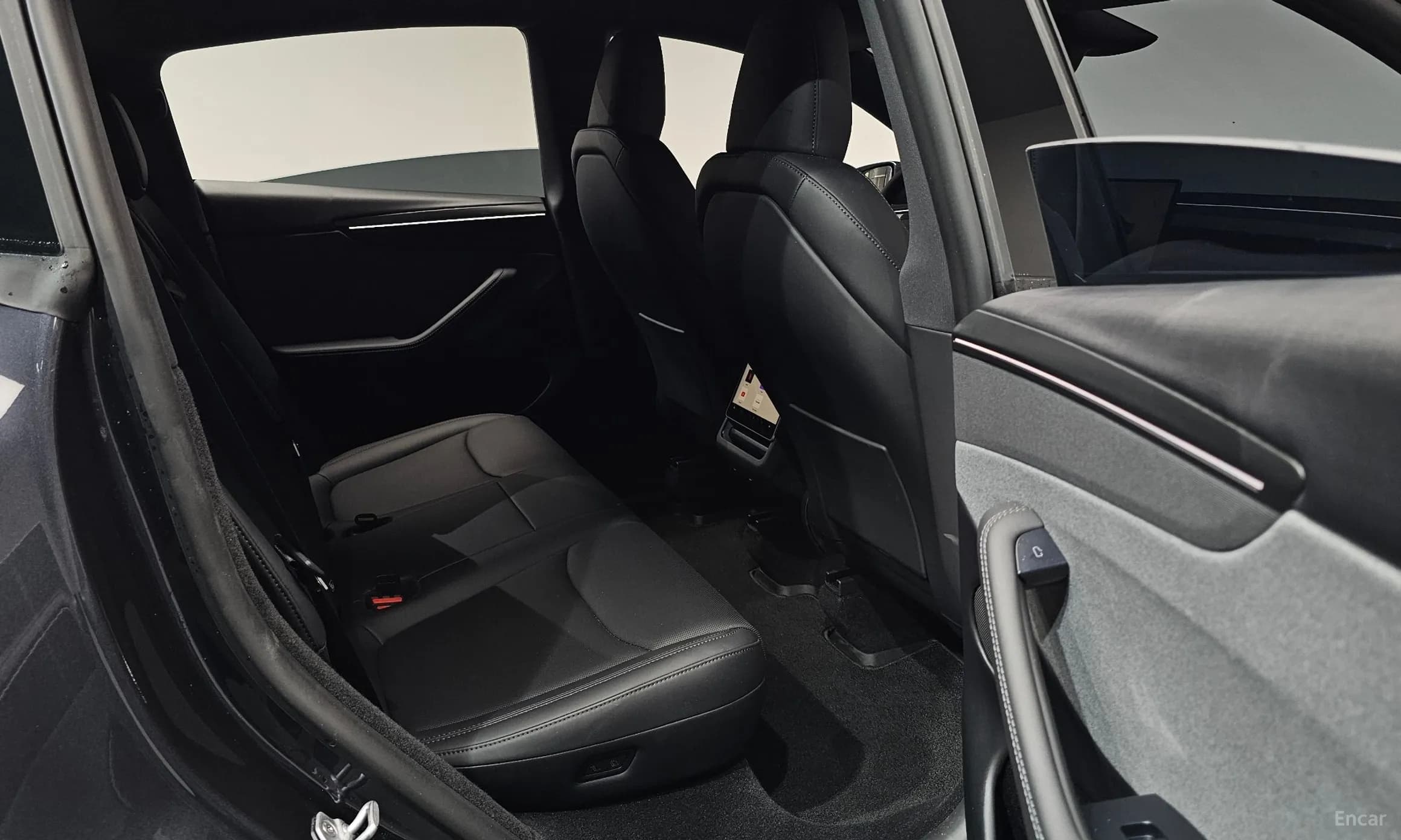Model Y