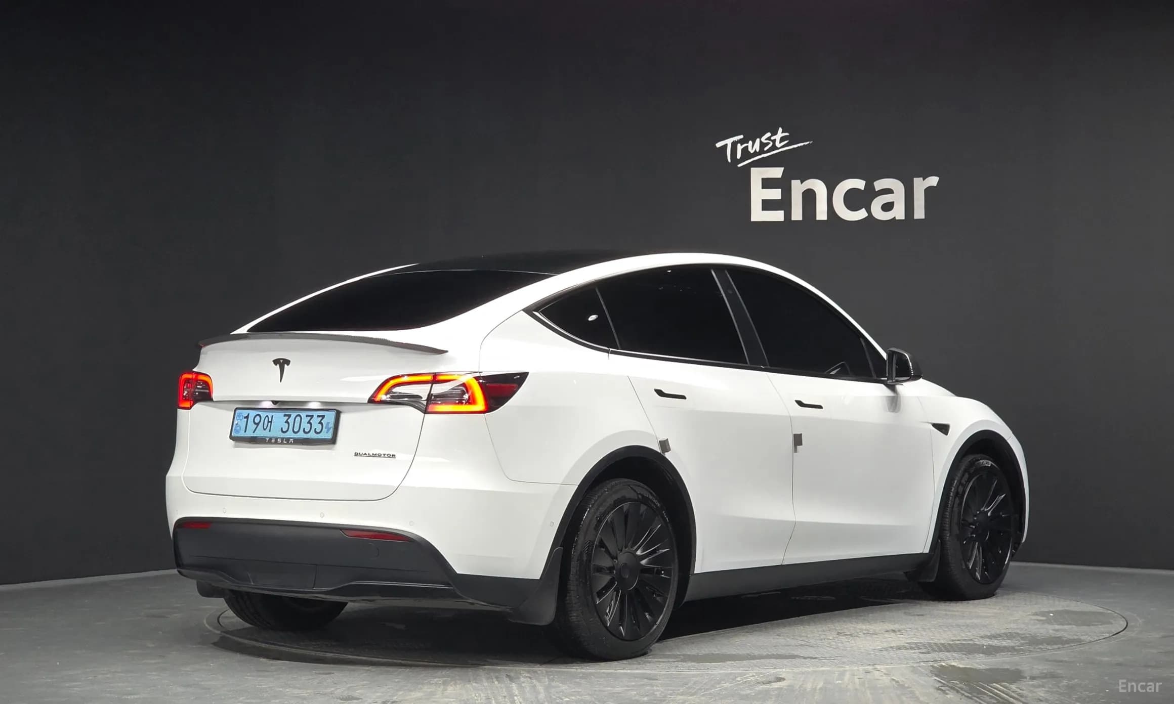 Model Y