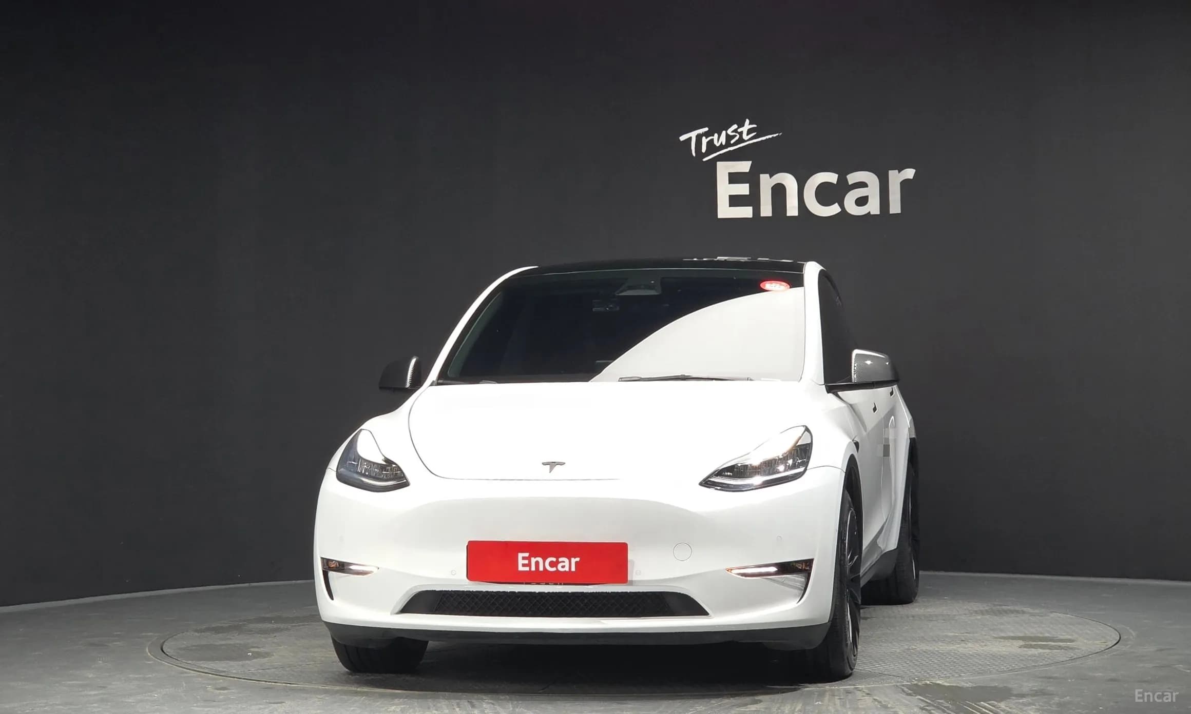 Model Y