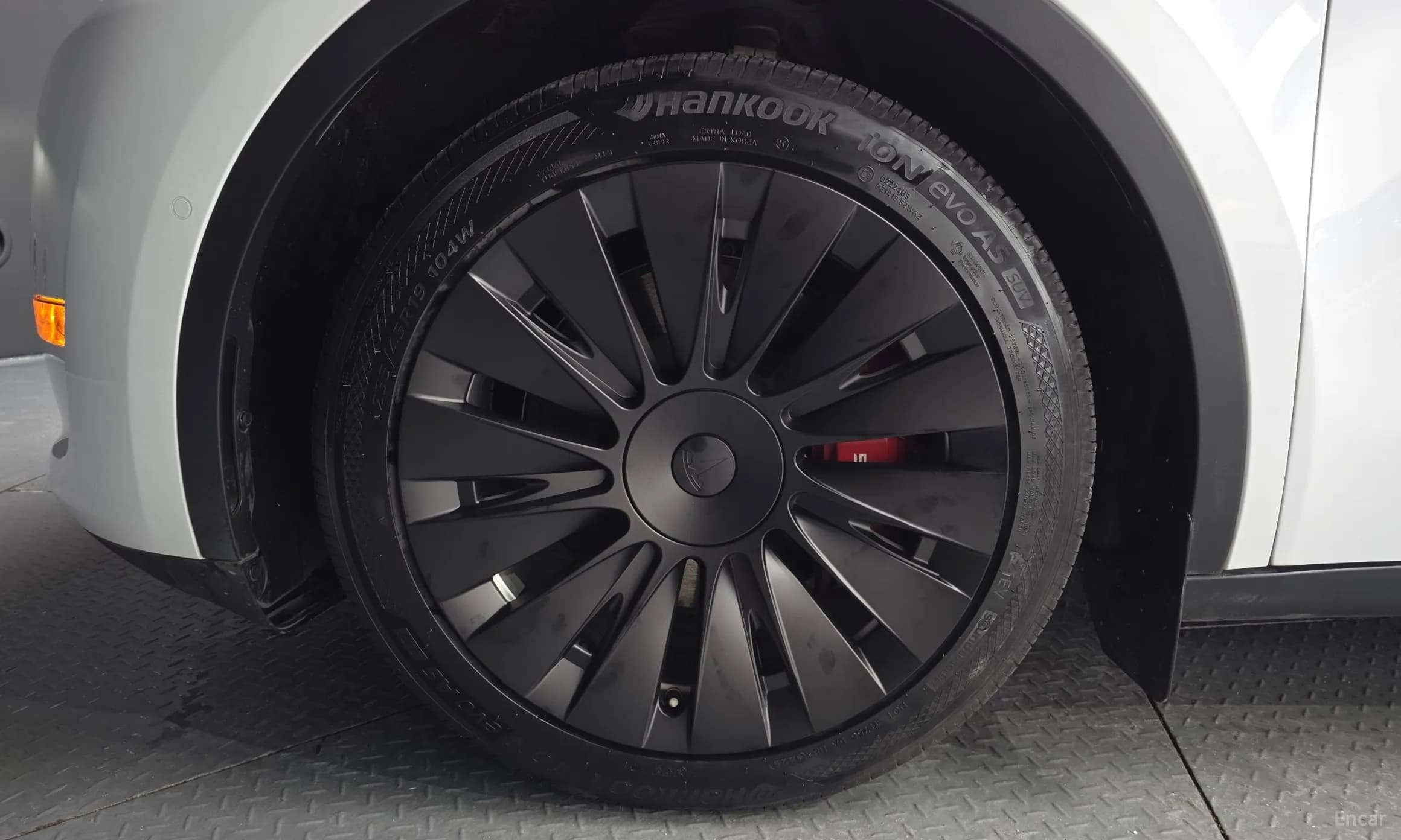 Model Y