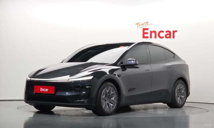 Model Y