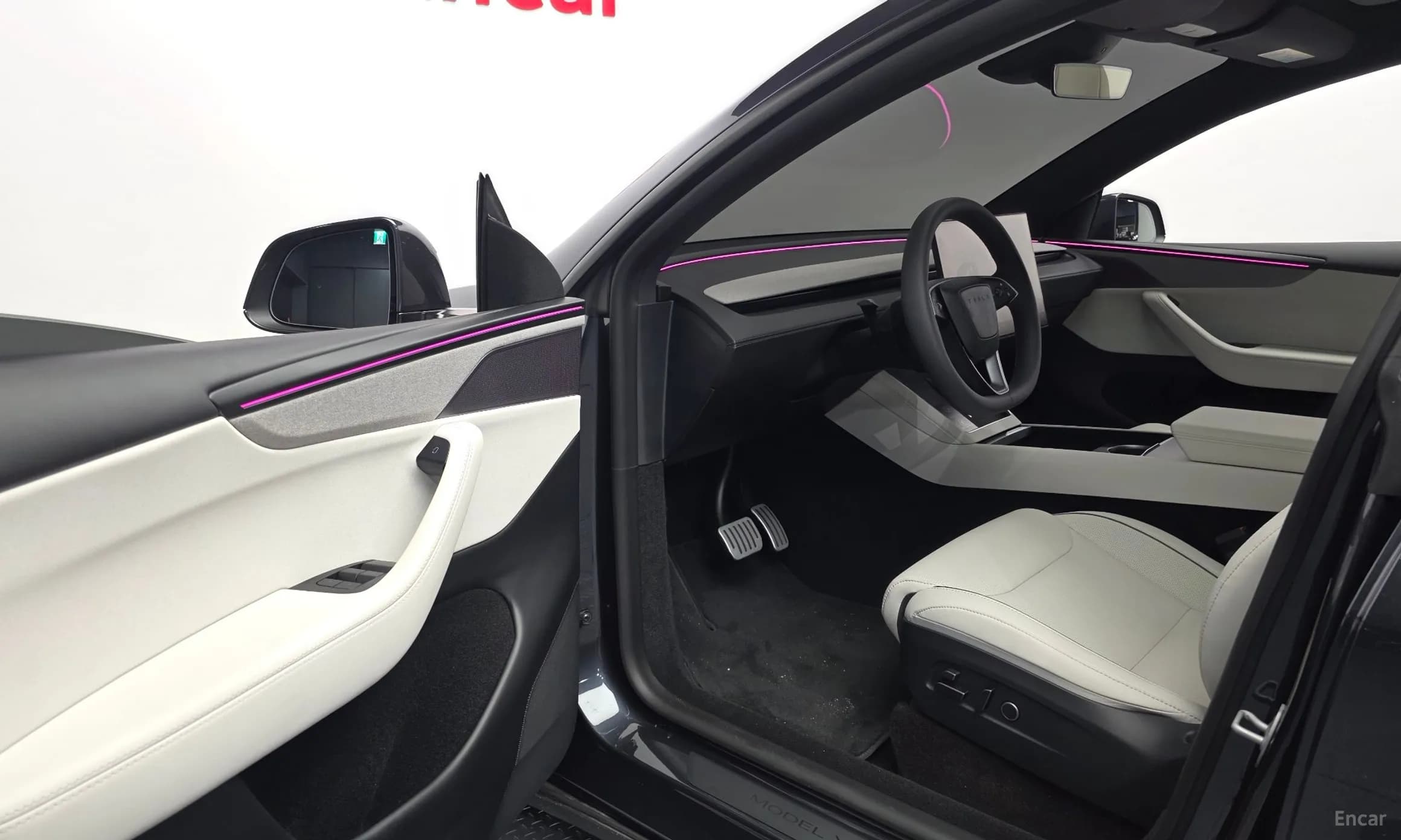 Model Y