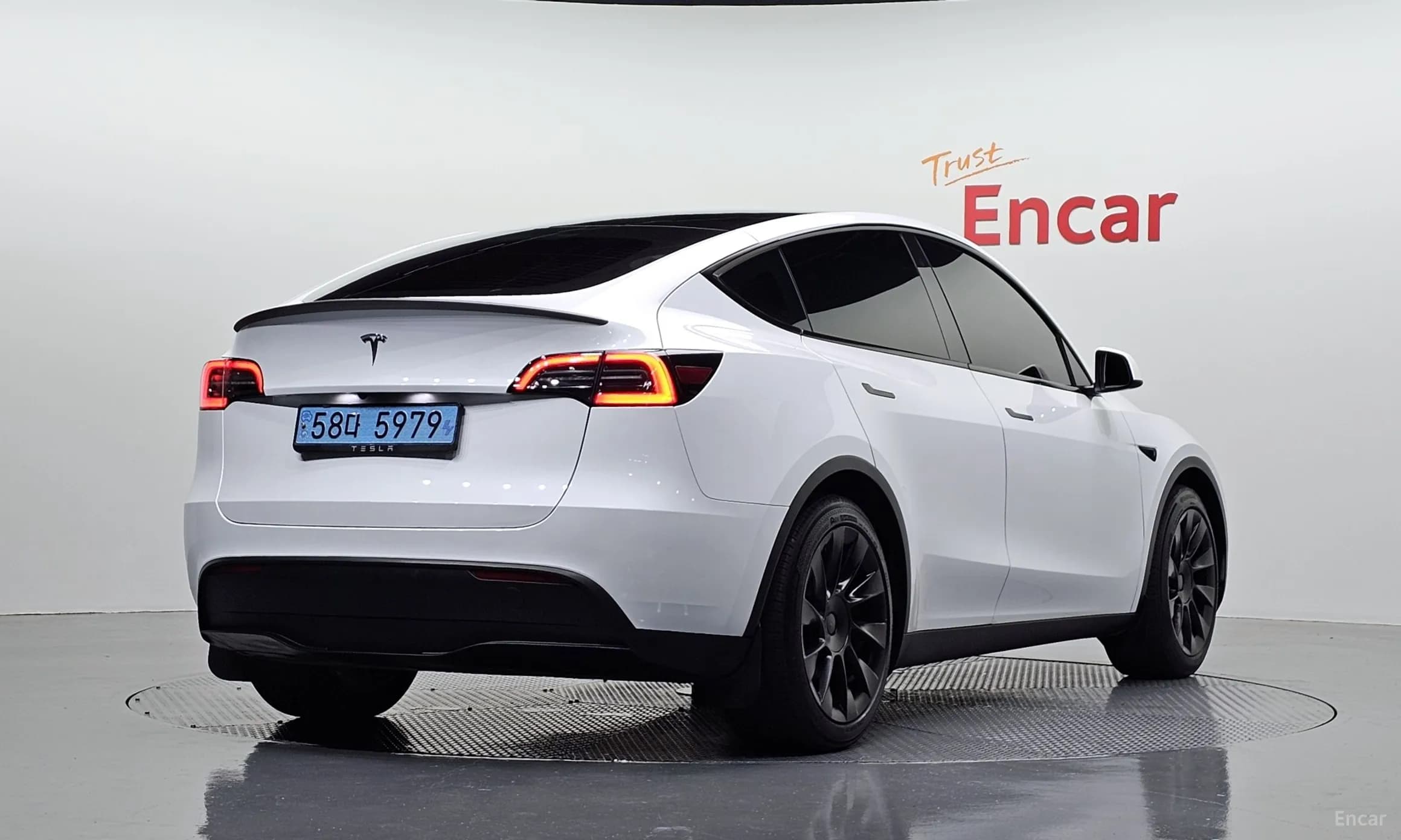 Model Y