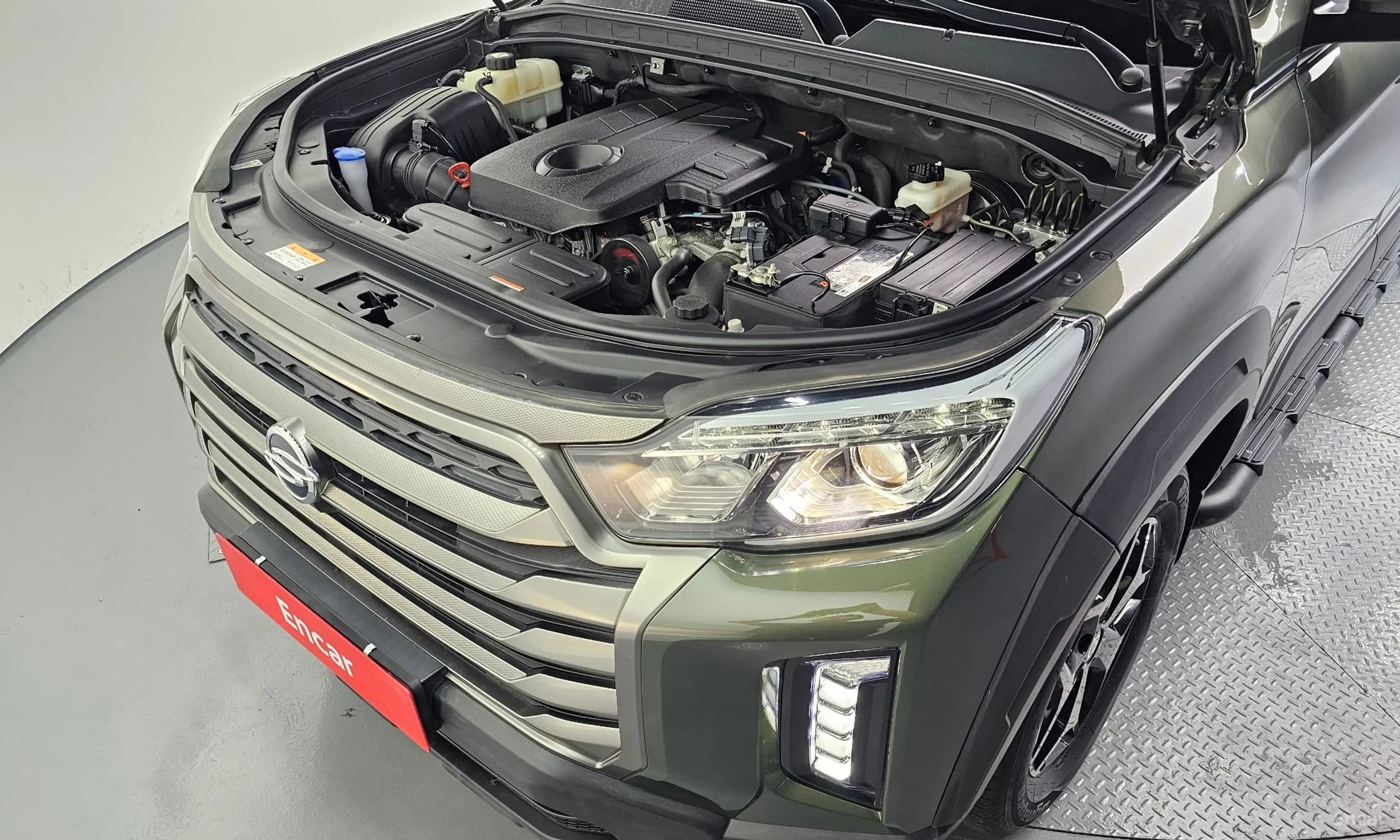 Rexton Sports