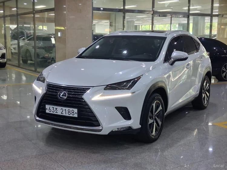 NX300h