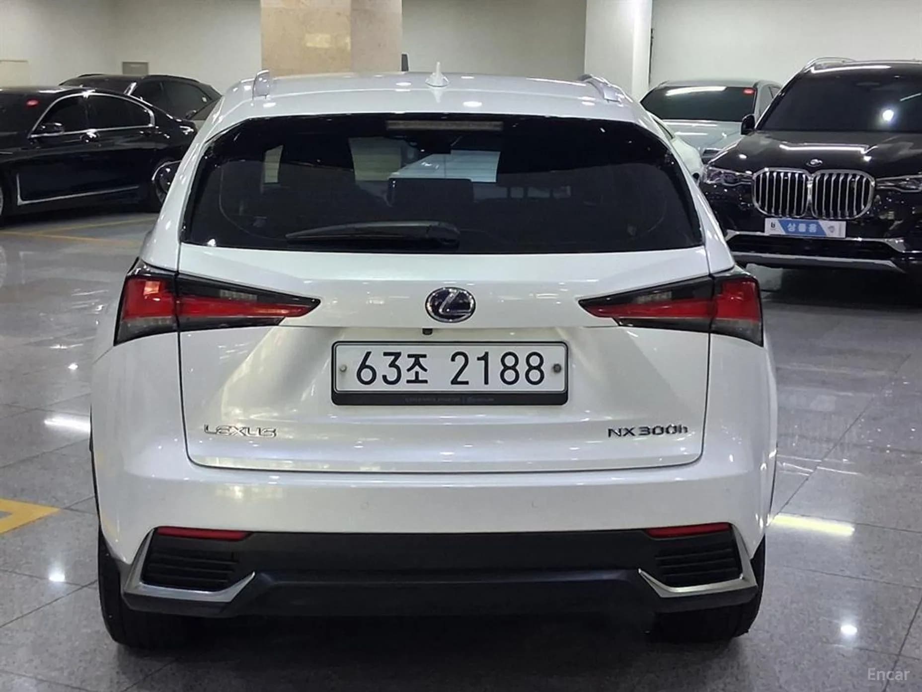 NX300h