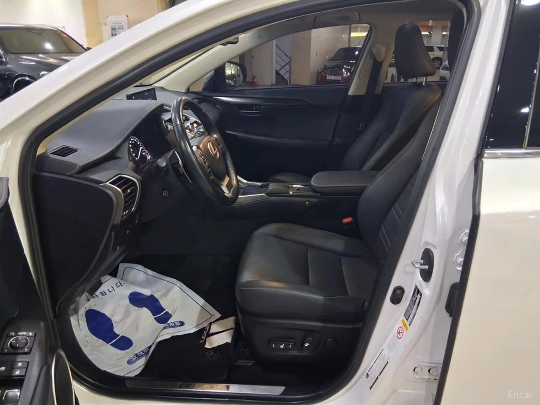 NX300h