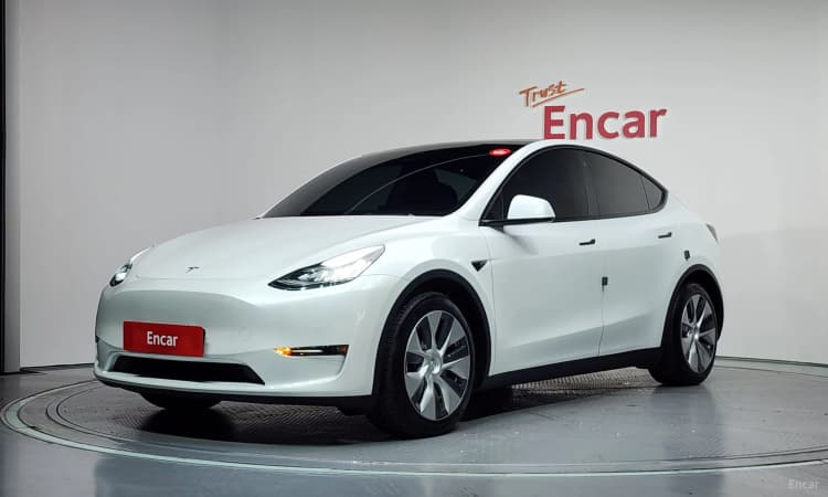 Model Y