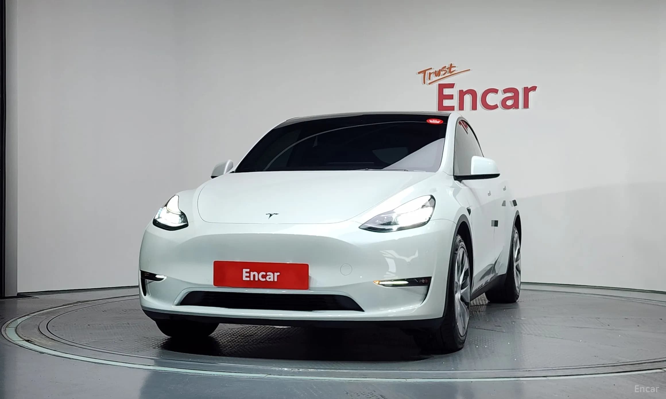 Model Y