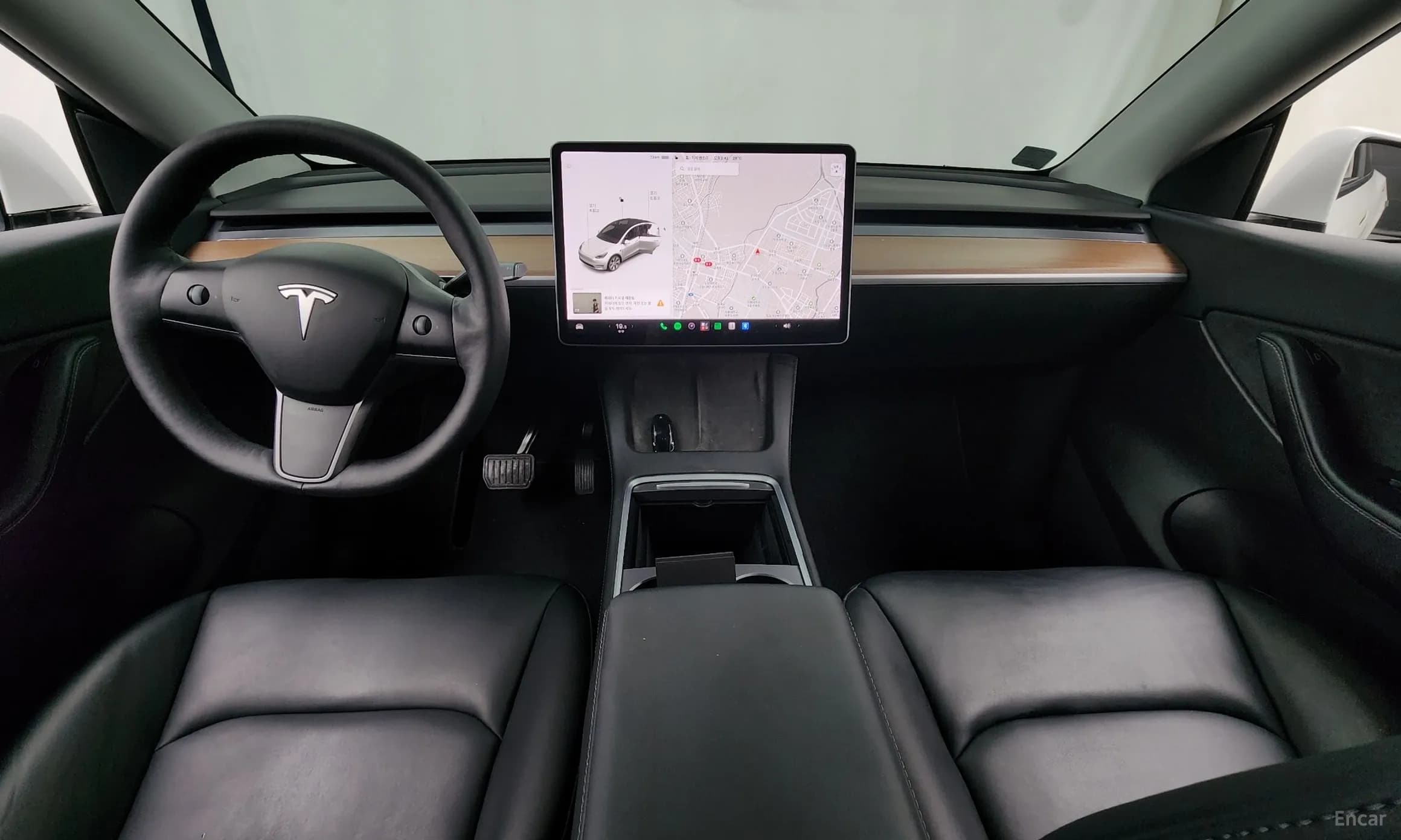 Model Y