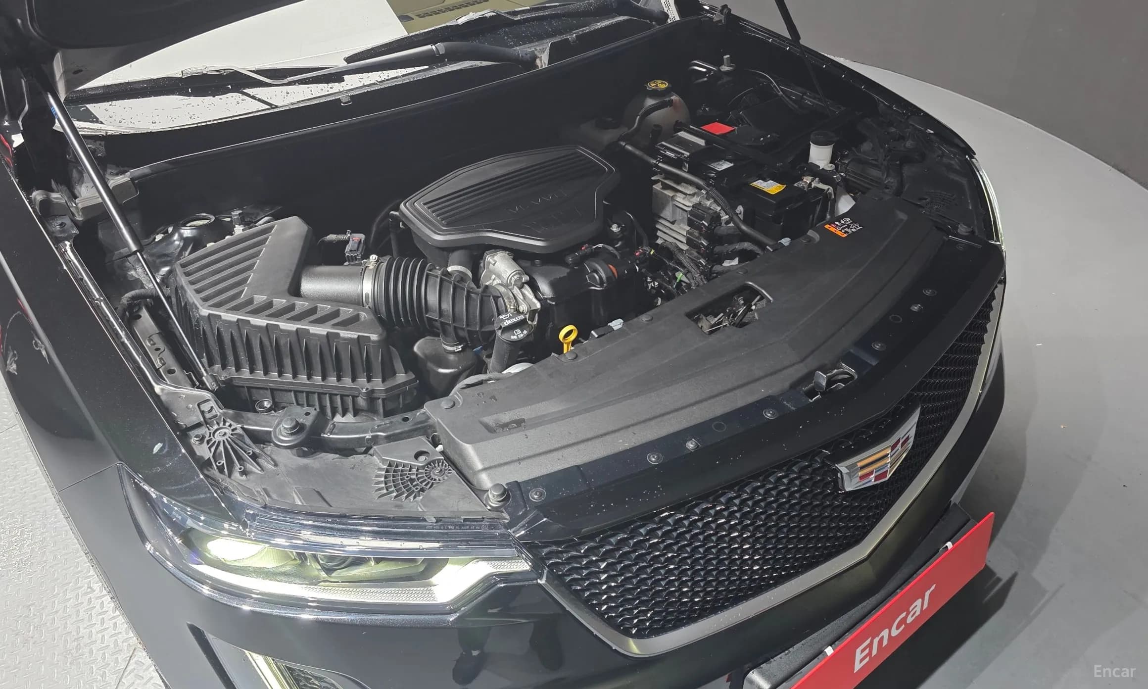 XT6