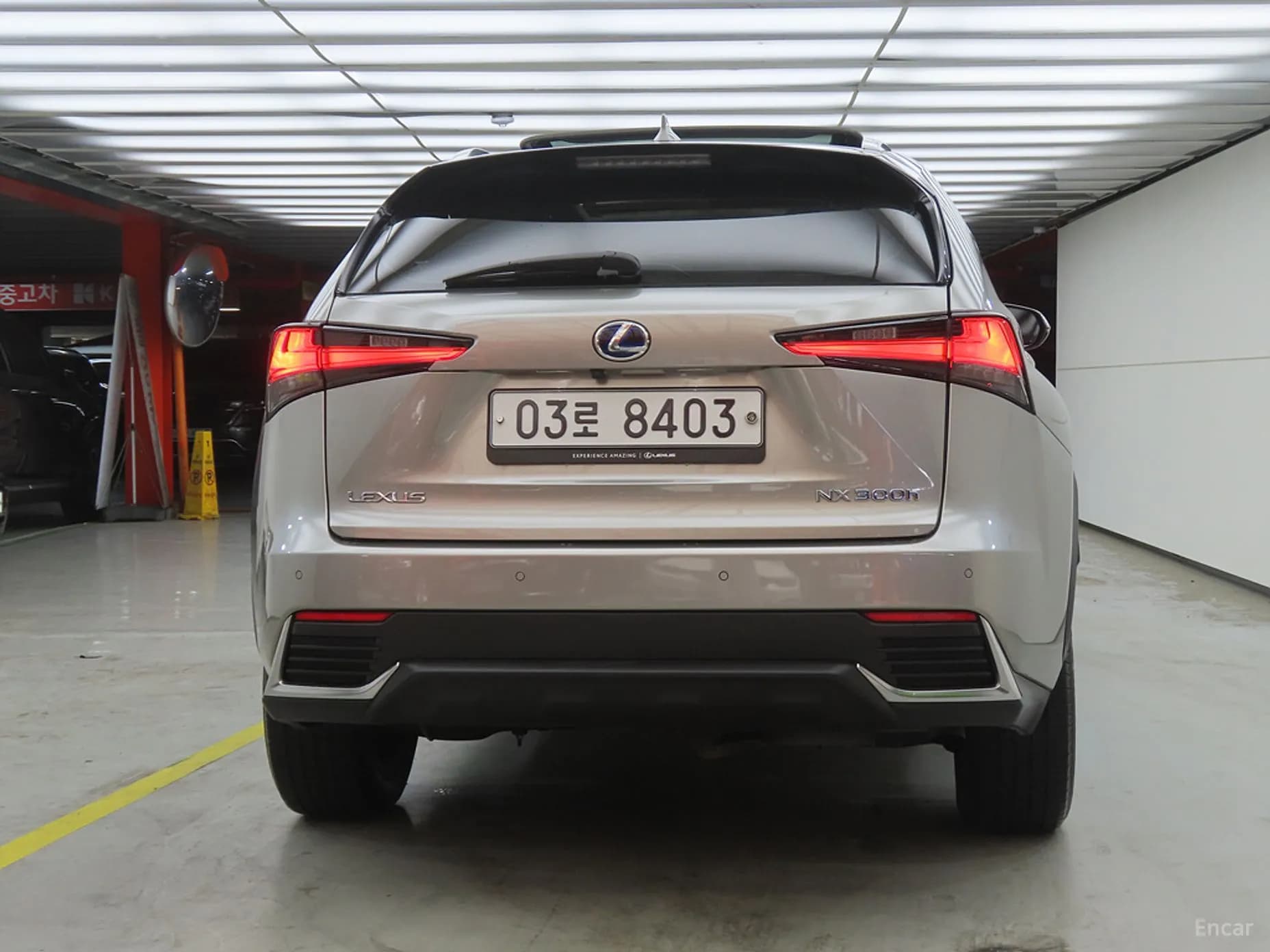 NX300h