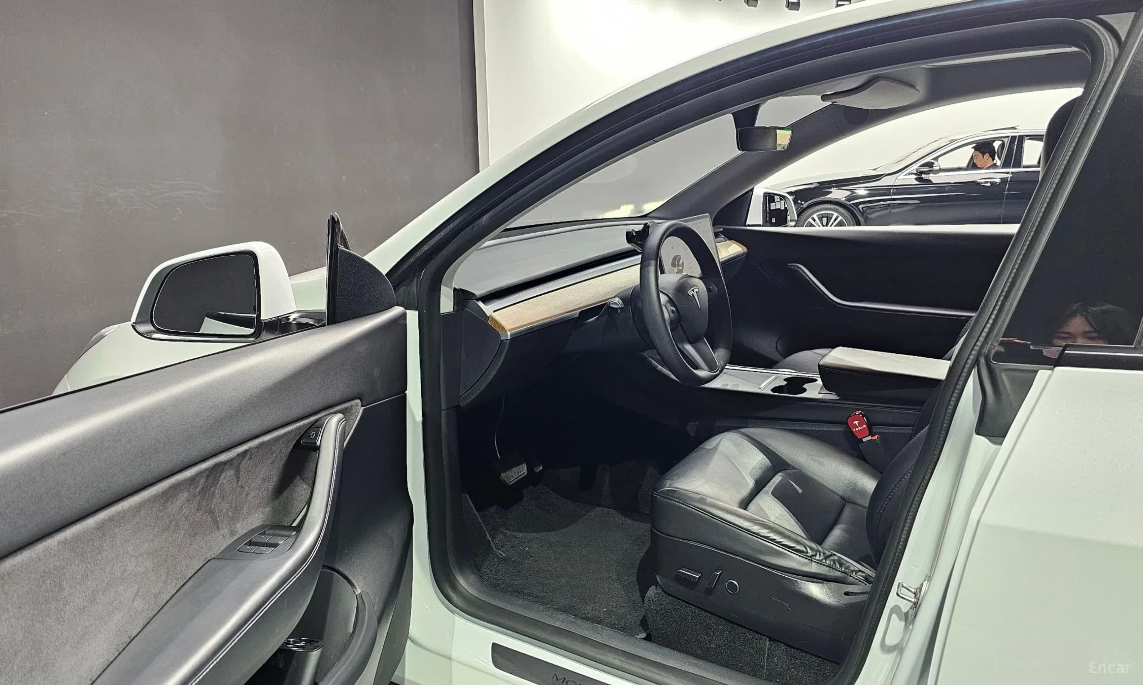 Model Y