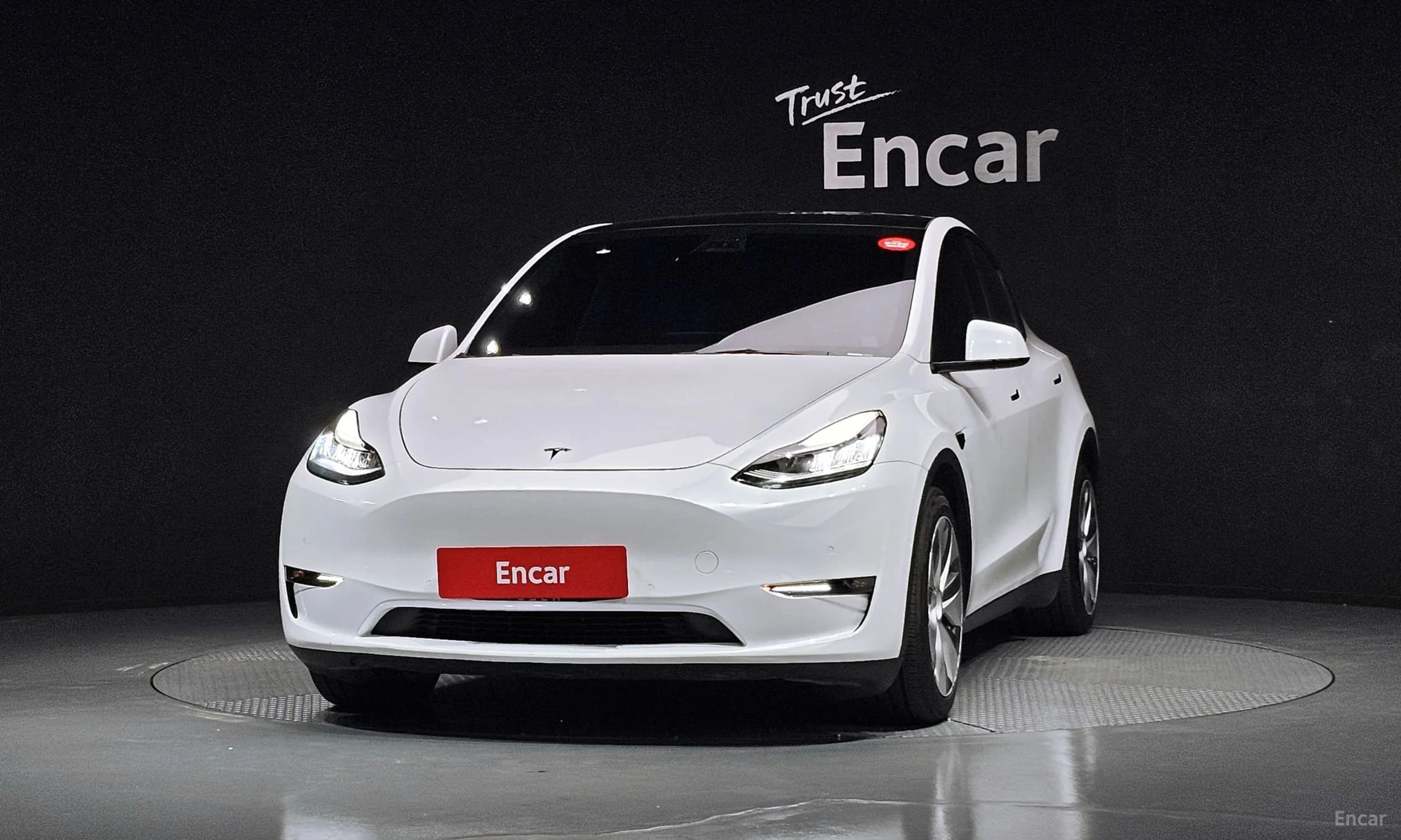 Model Y