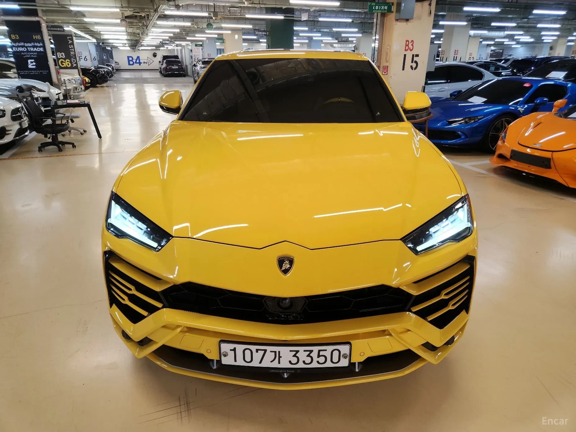 Urus
