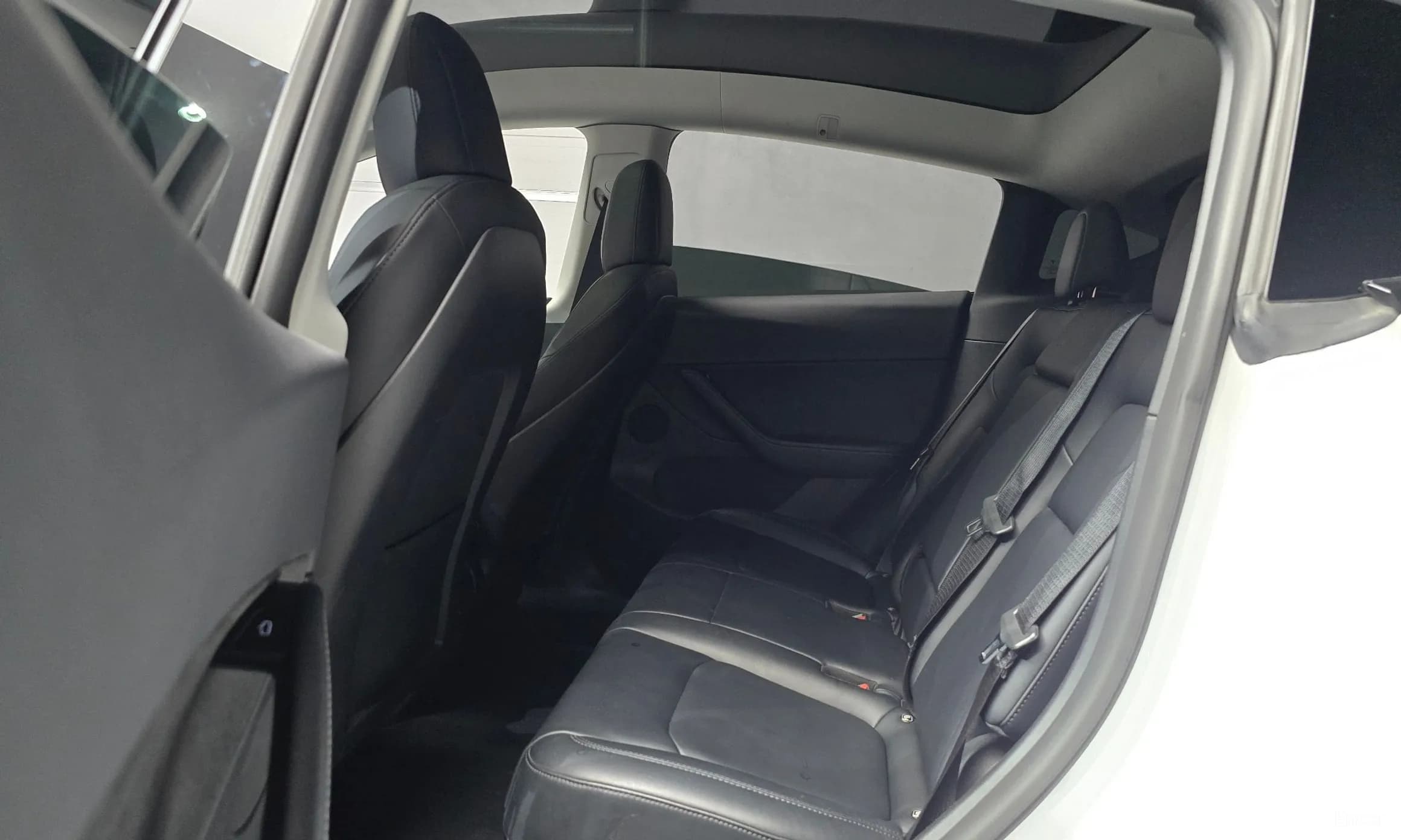 Model Y
