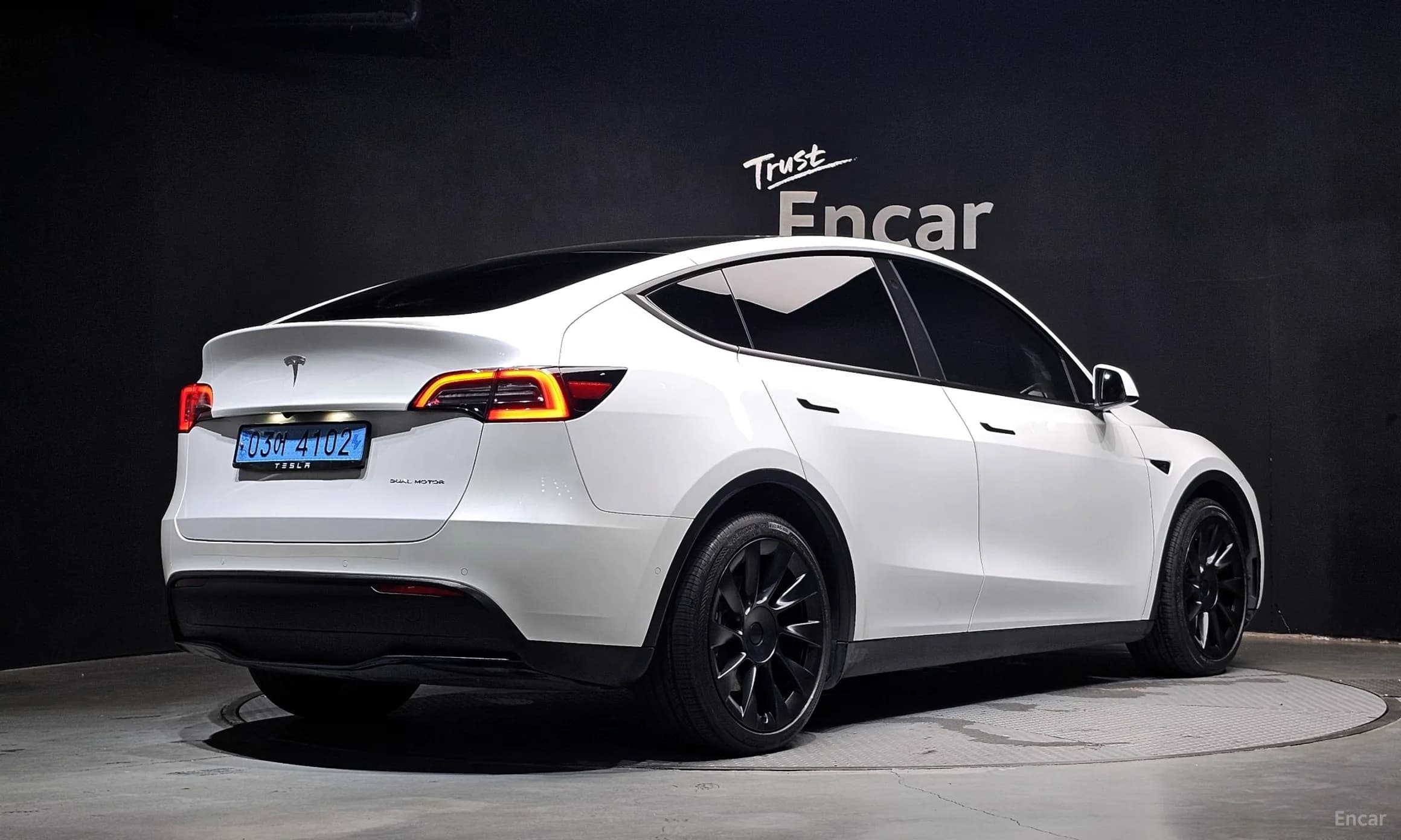 Model Y