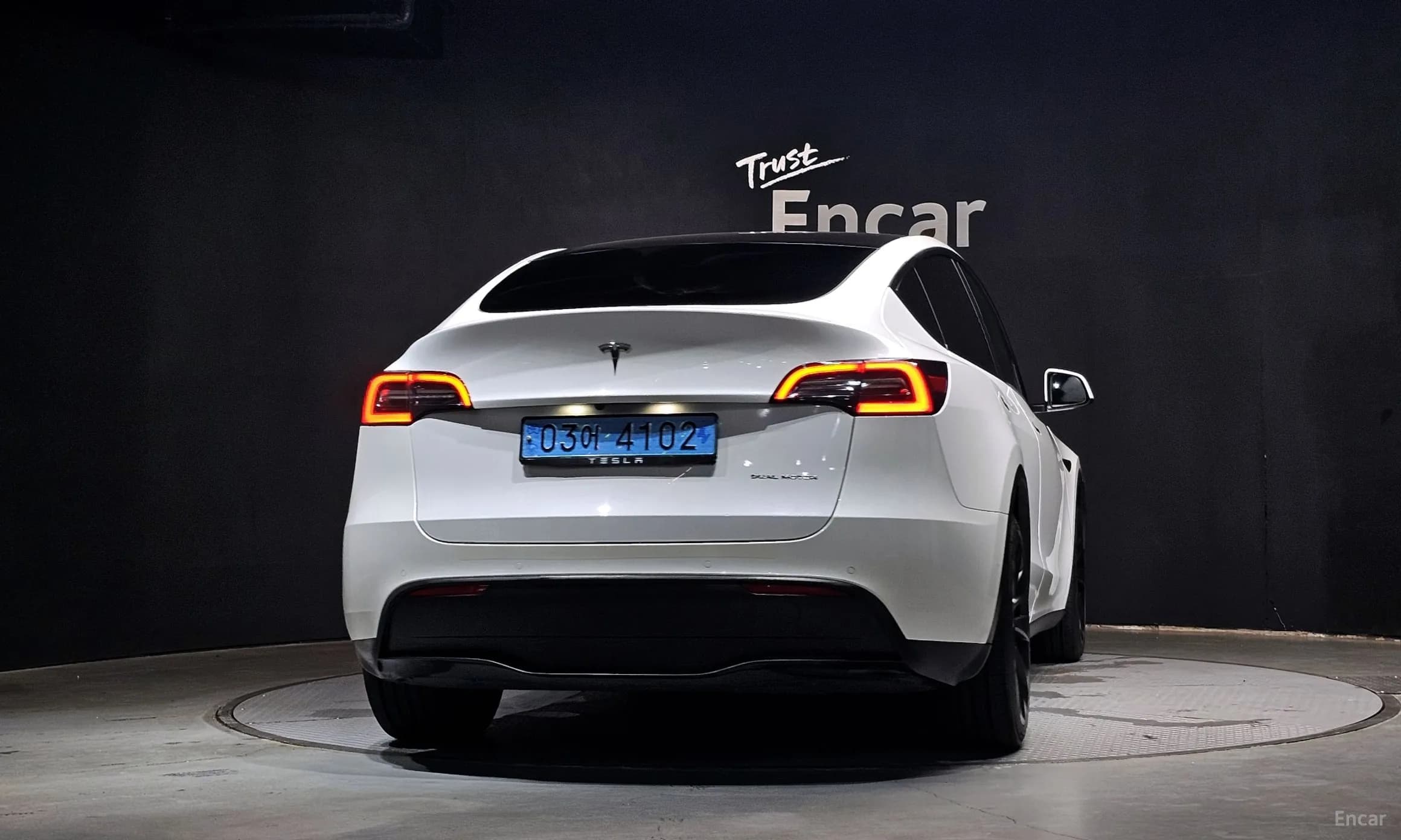 Model Y