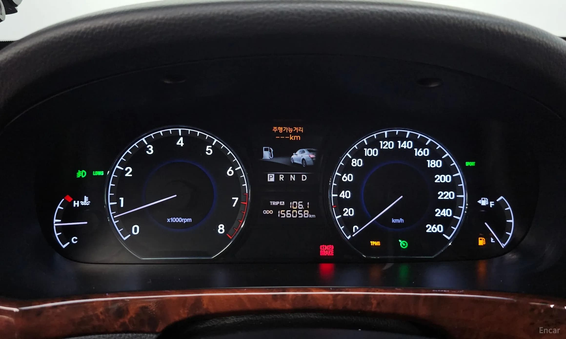 Equus (new)