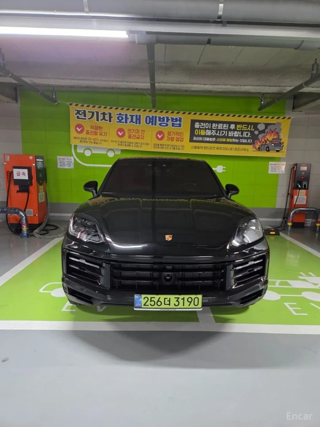 Cayenne (PO536)