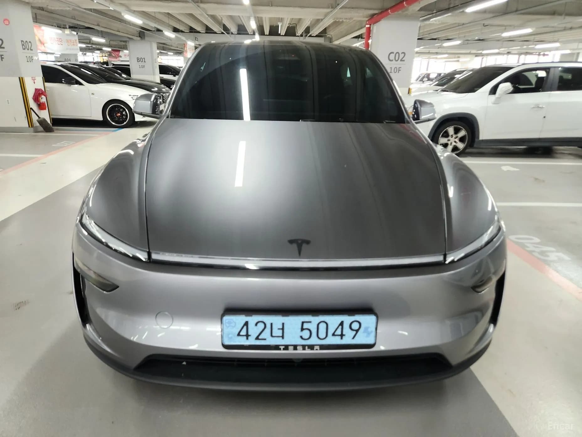 Model Y