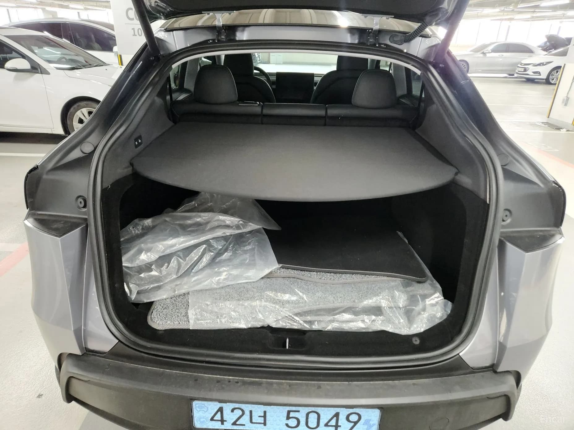 Model Y
