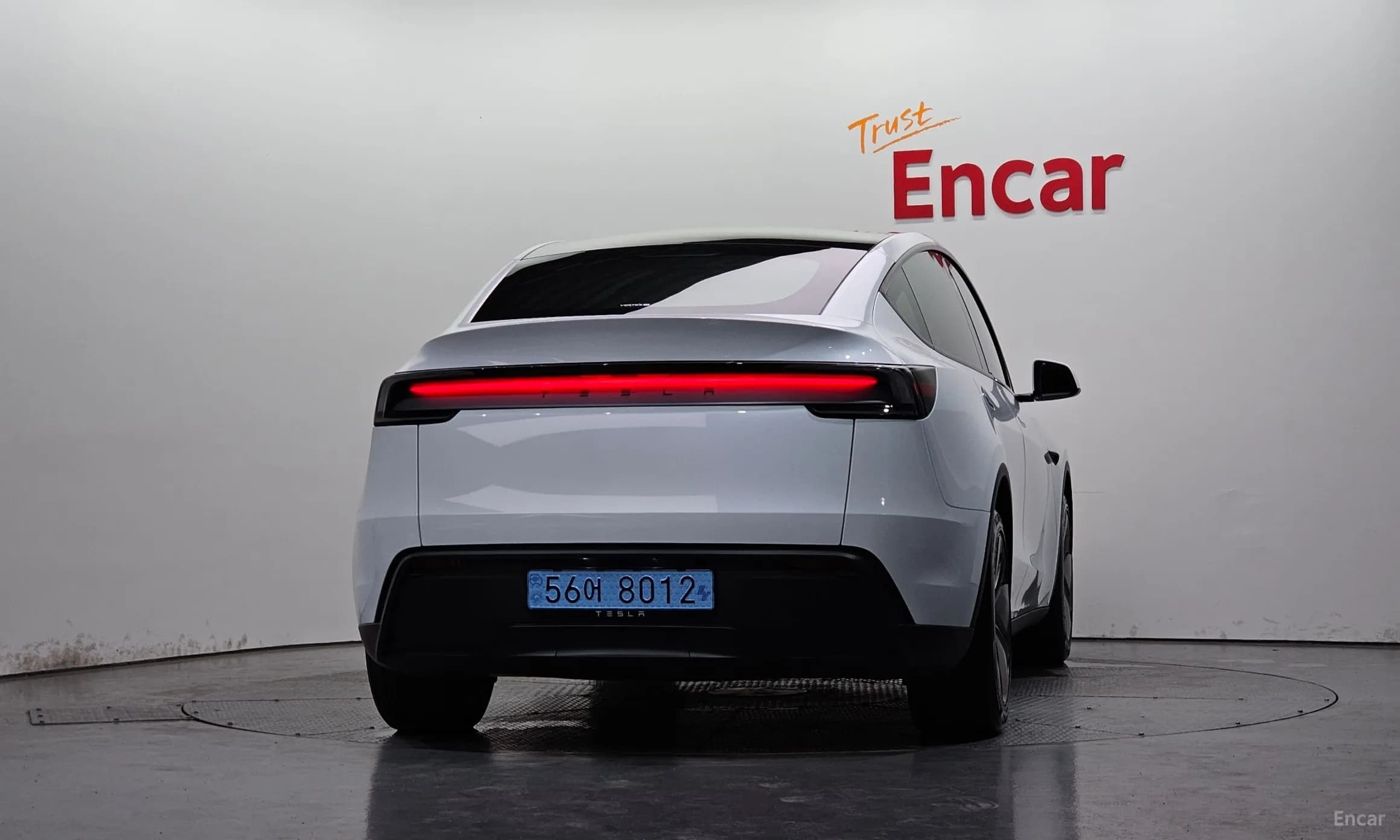 Model Y
