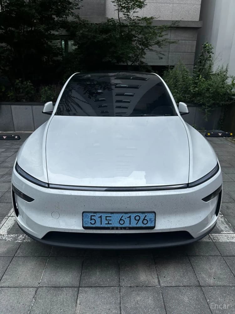Model Y