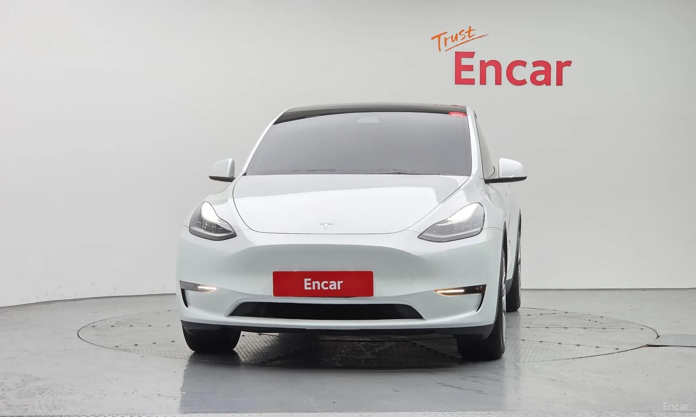 Model Y