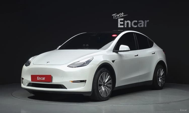 Model Y
