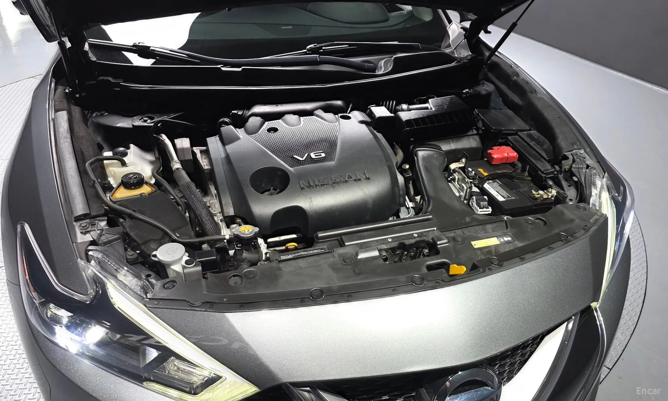 Maxima (A36)