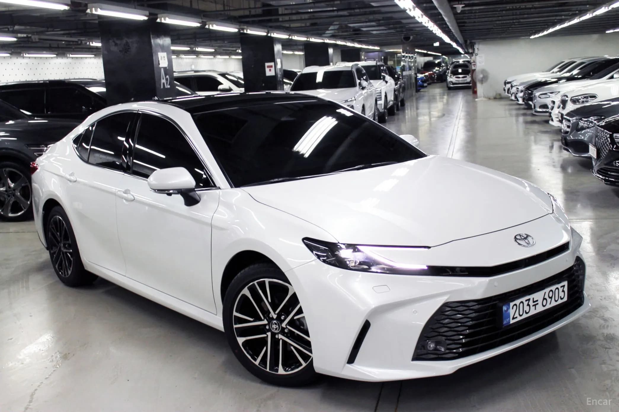 Camry (XV80)