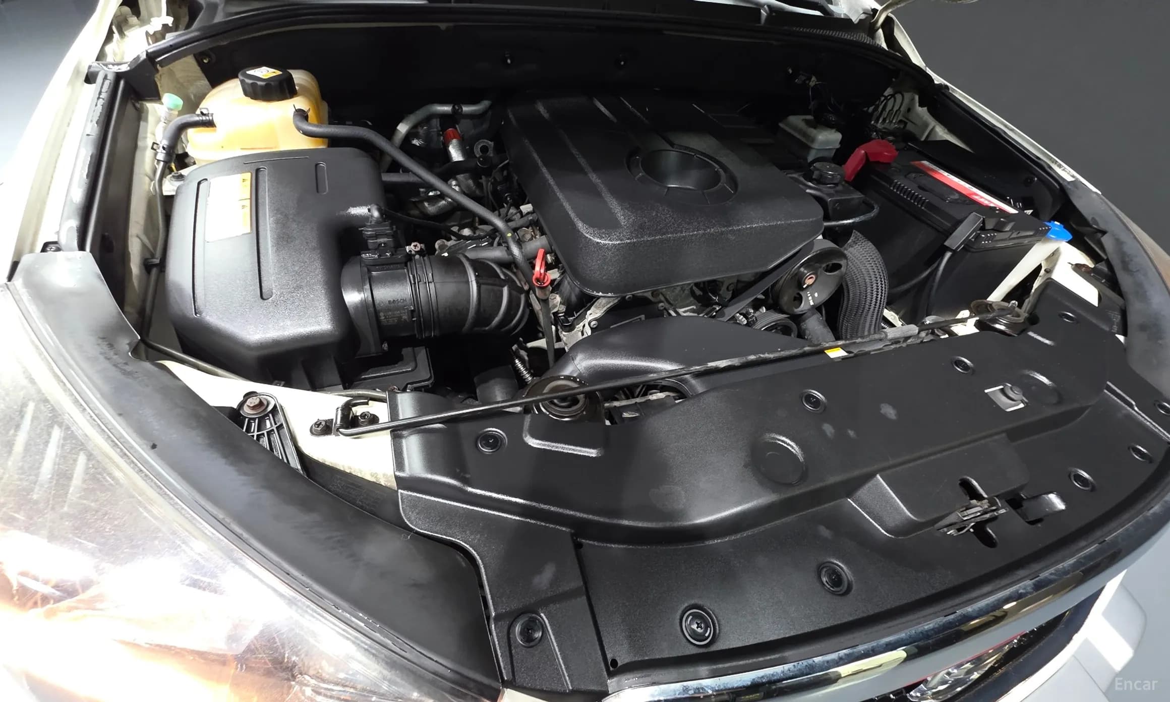 Korando Sports
