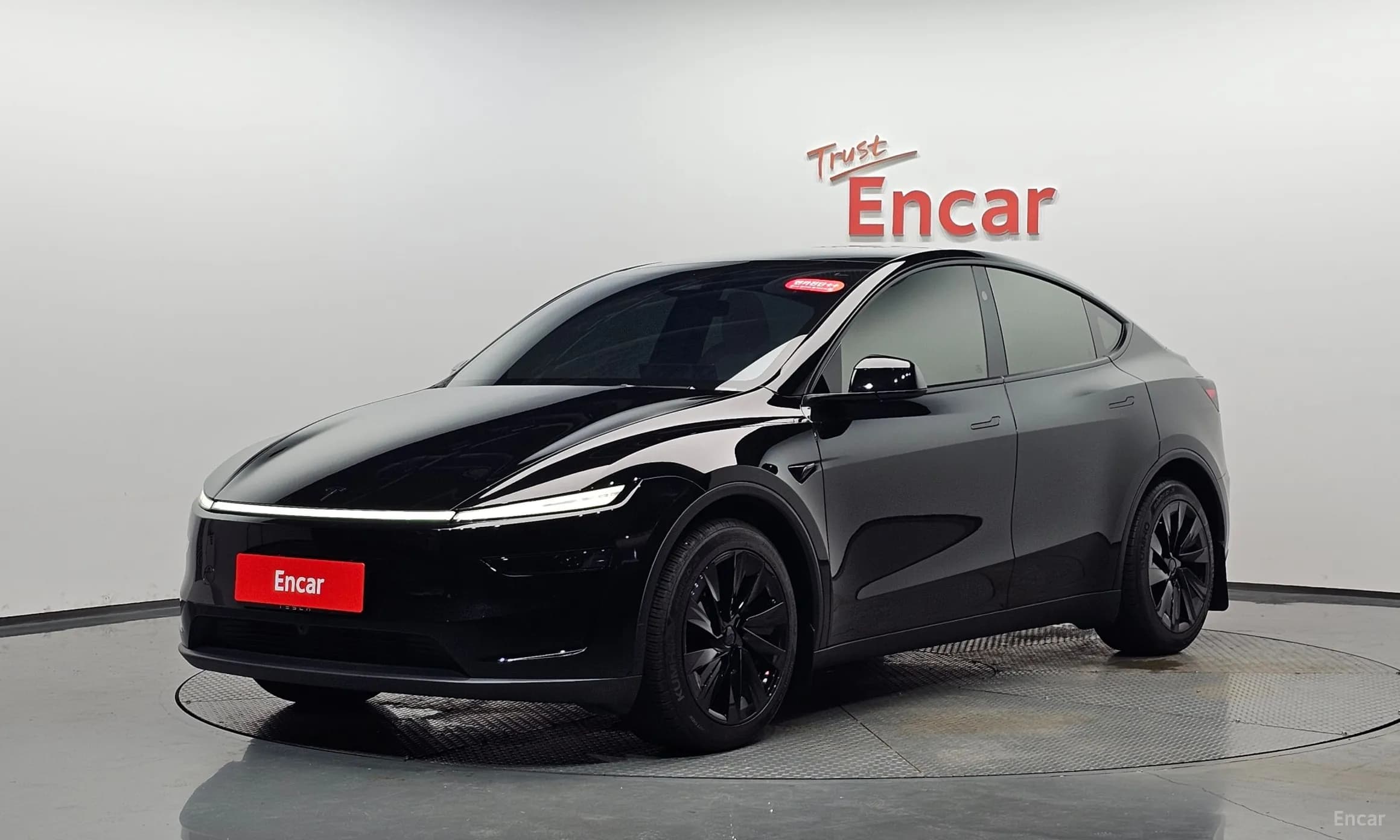 Model Y