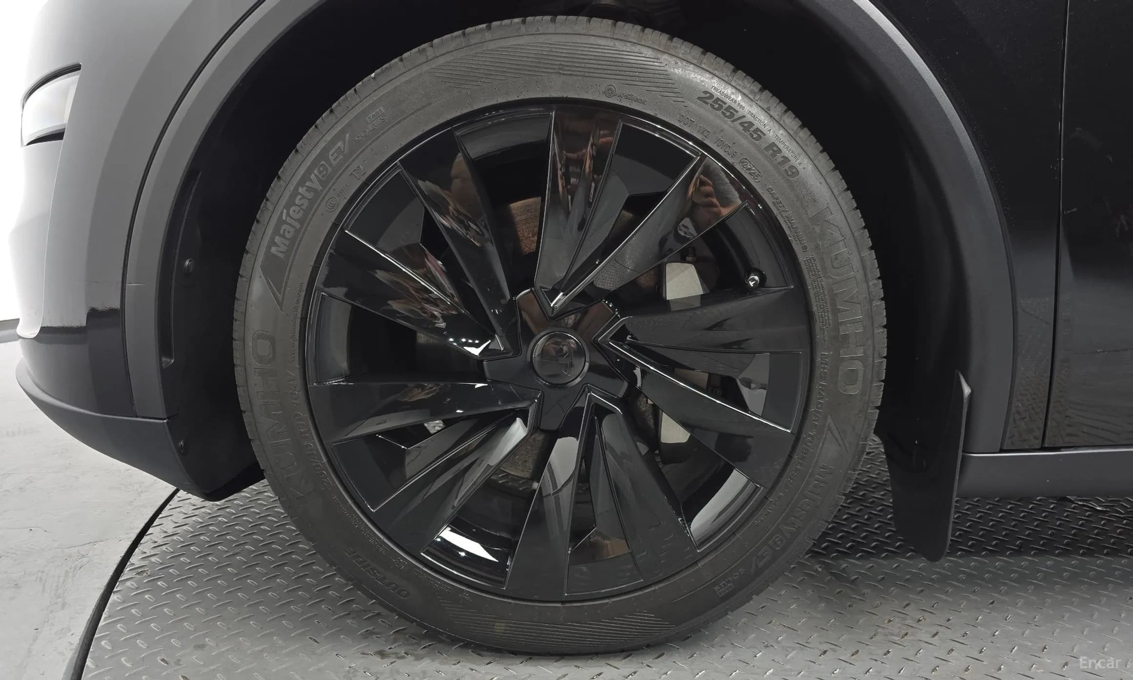 Model Y