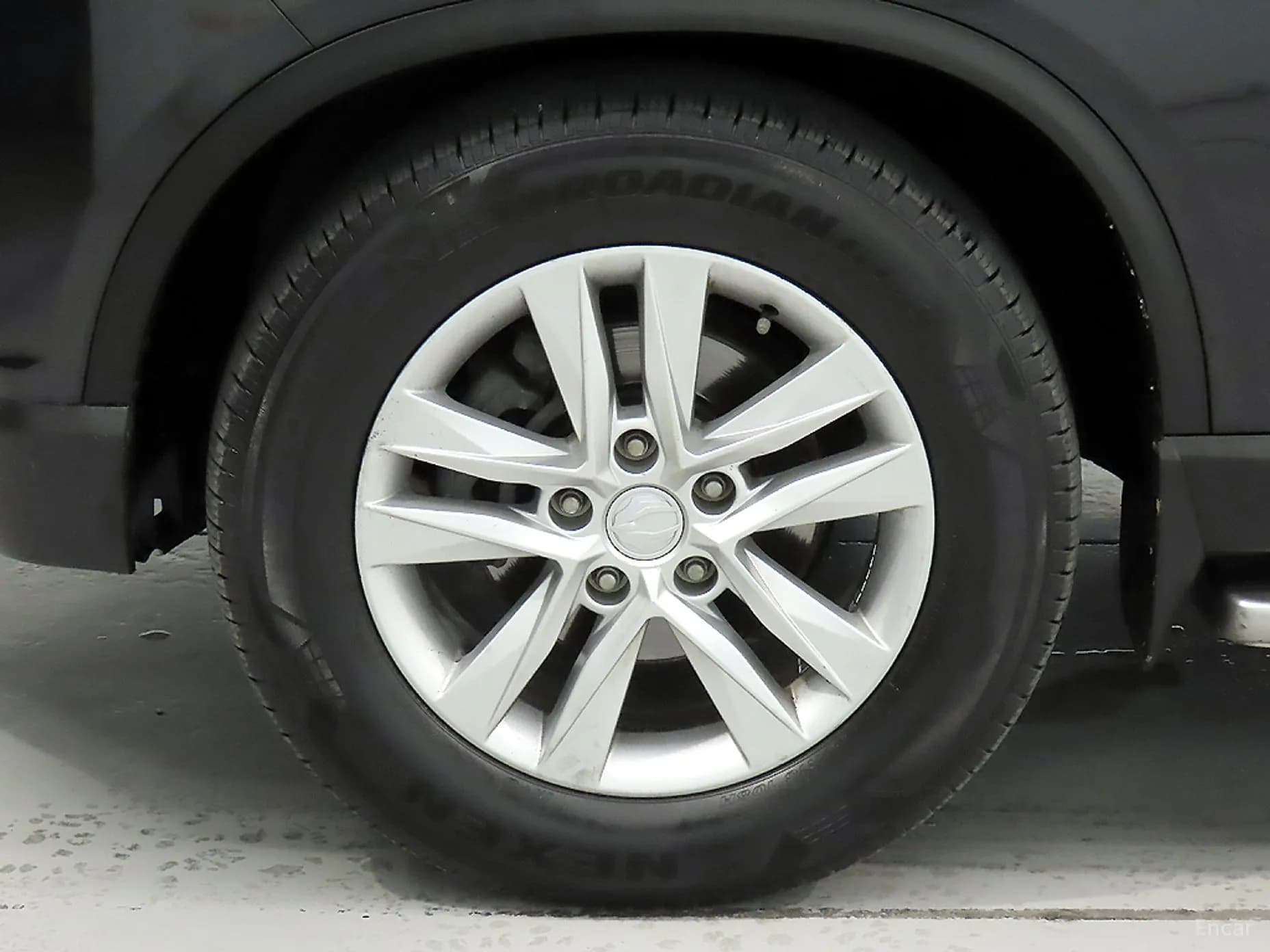 Rexton Sports