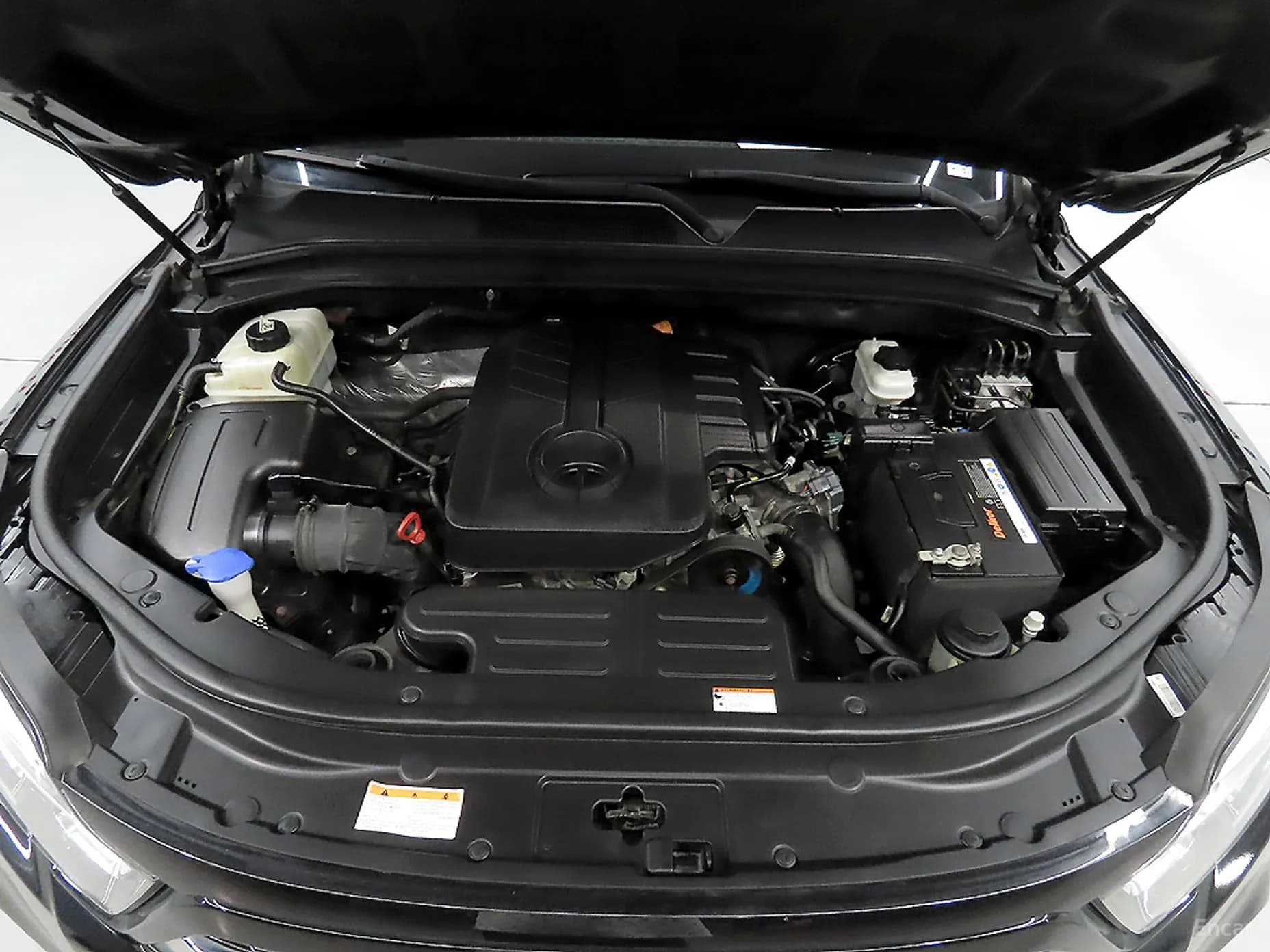 Rexton Sports