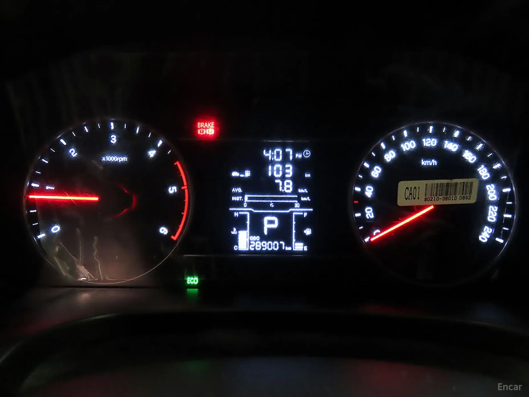 Rexton Sports