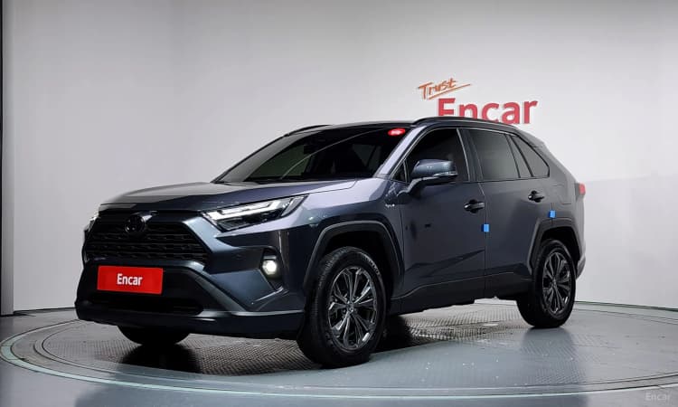 RAV4 5th Generation